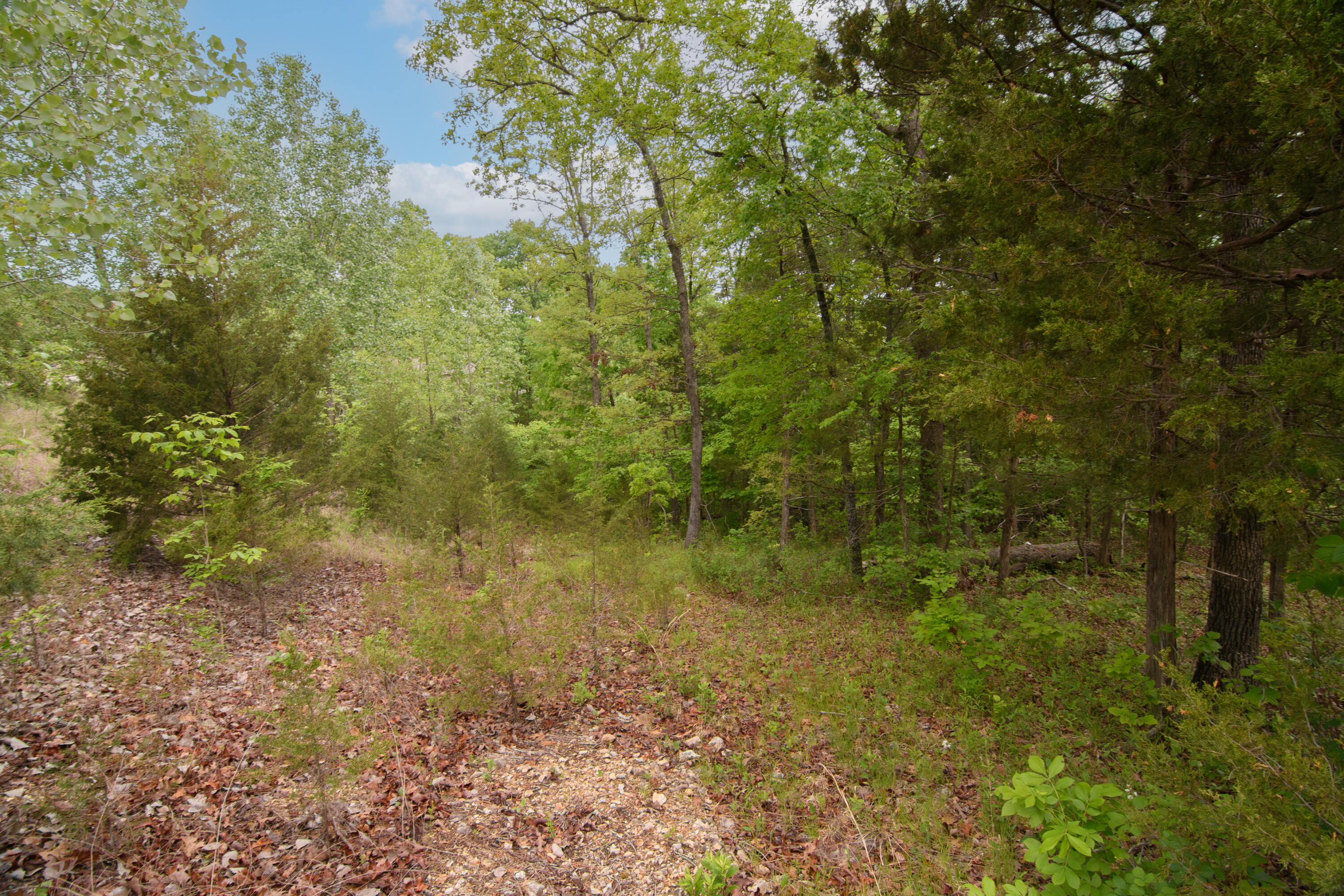 240 Royal Dornoch Drive Property Photo 6