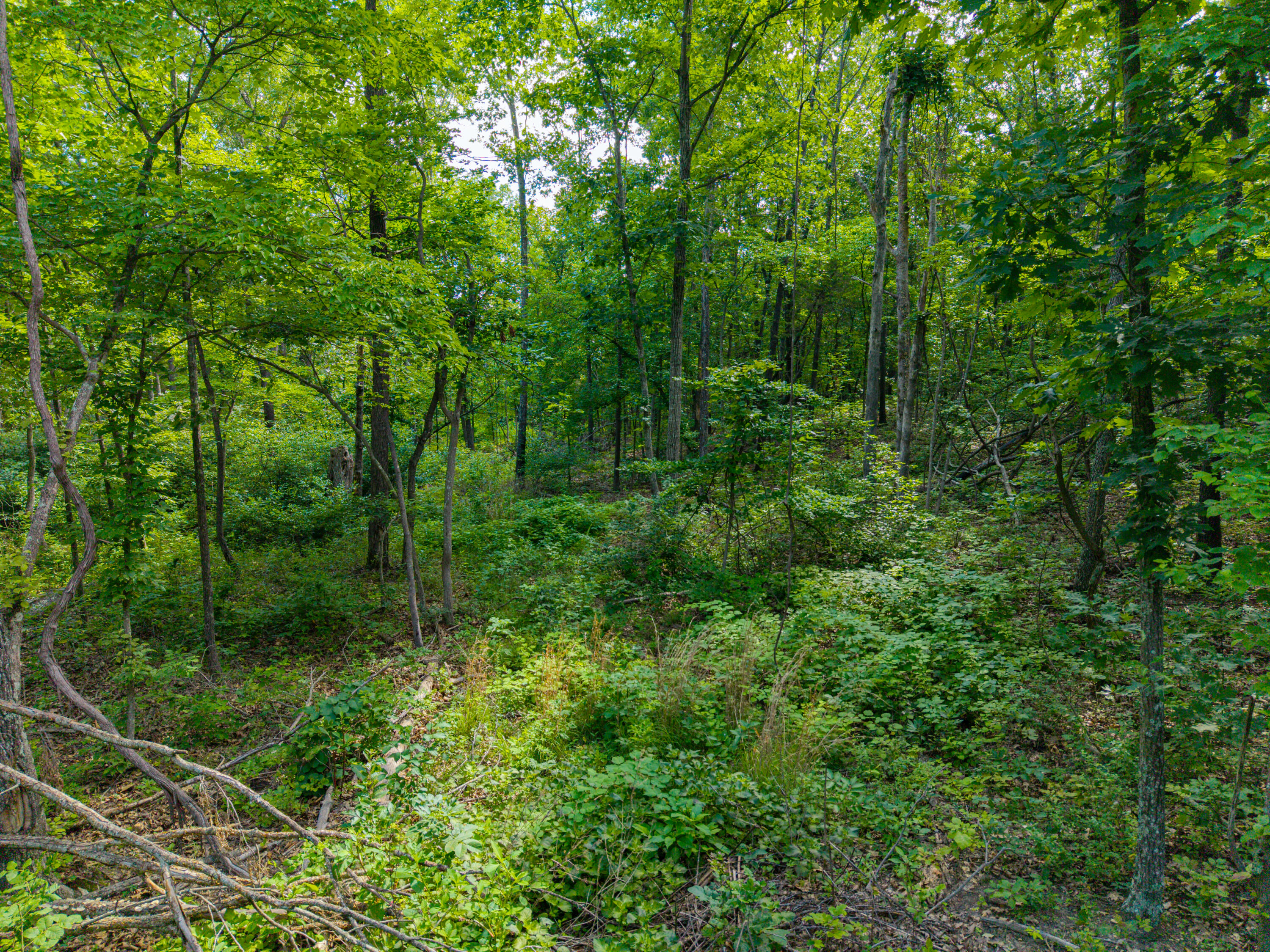 19716 St Hwy N Property Photo 41