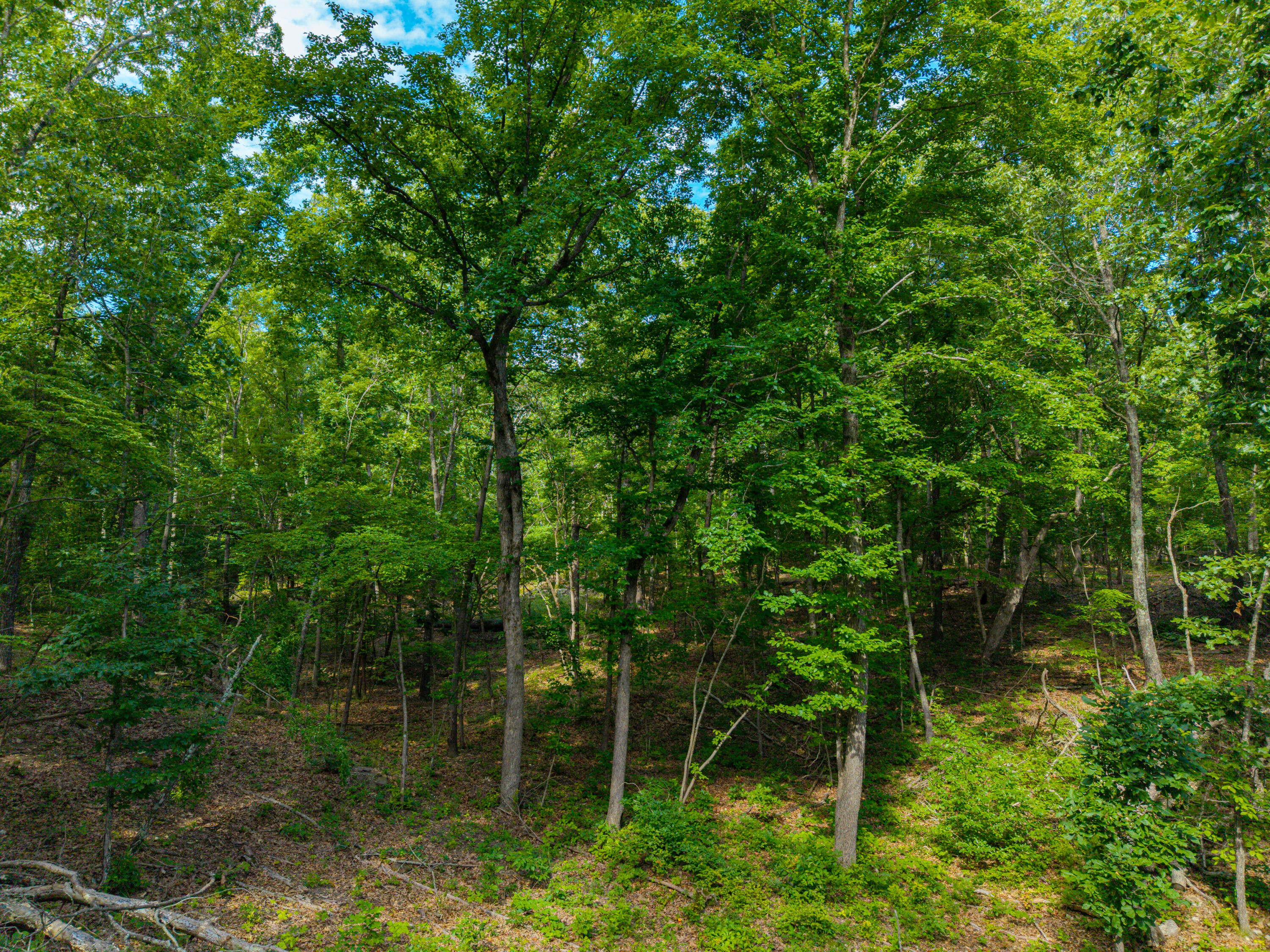 19716 St Hwy N Property Photo 45