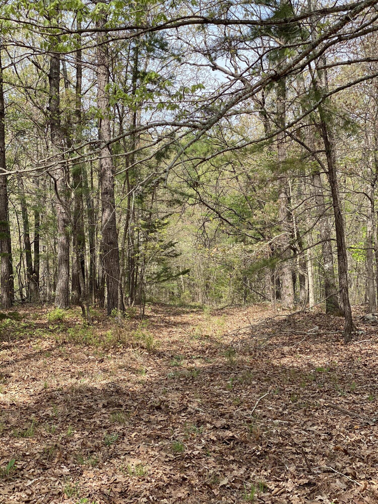 3365 County Road 153 Property Photo 26