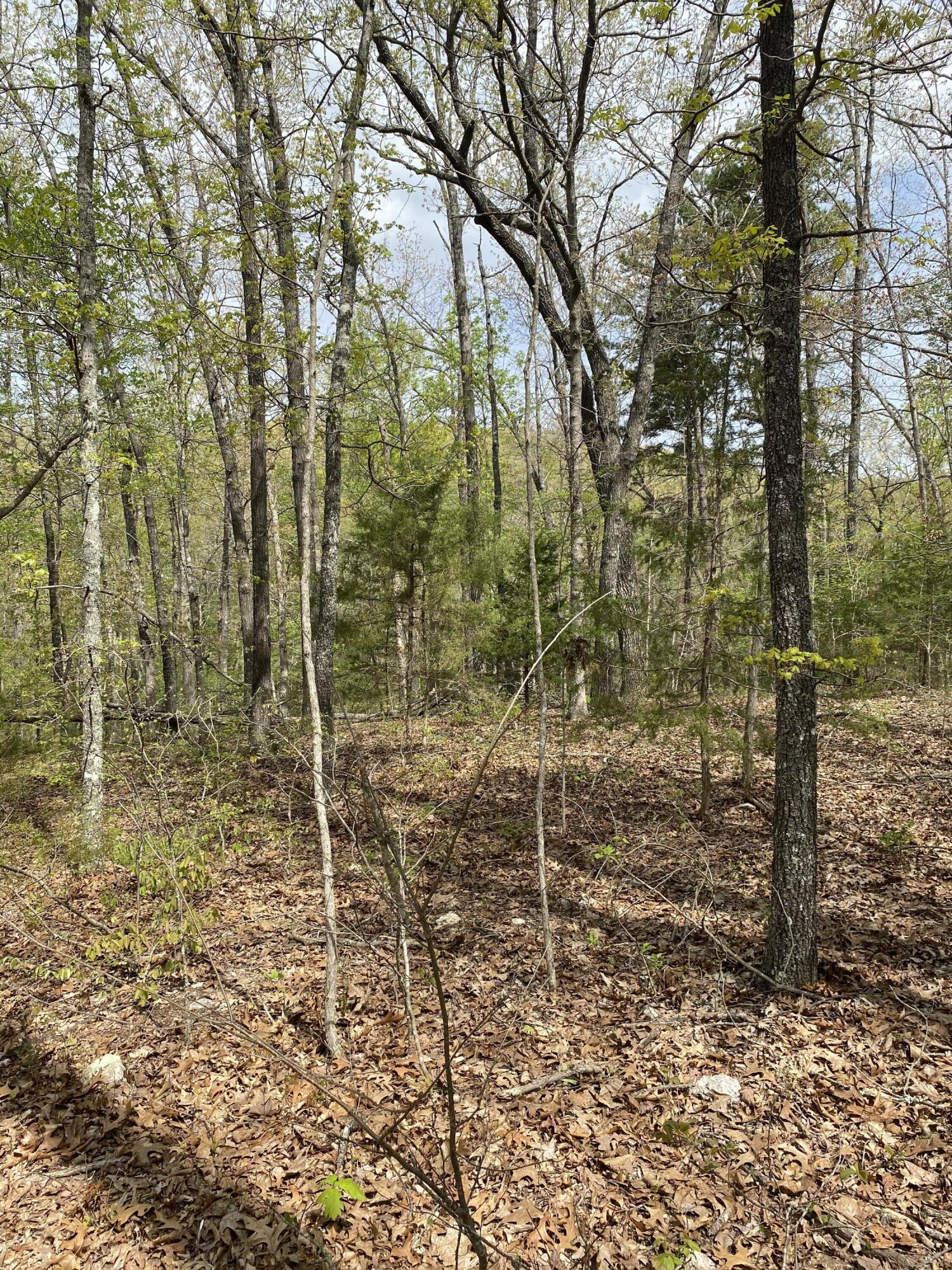 3365 County Road 153 Property Photo 31