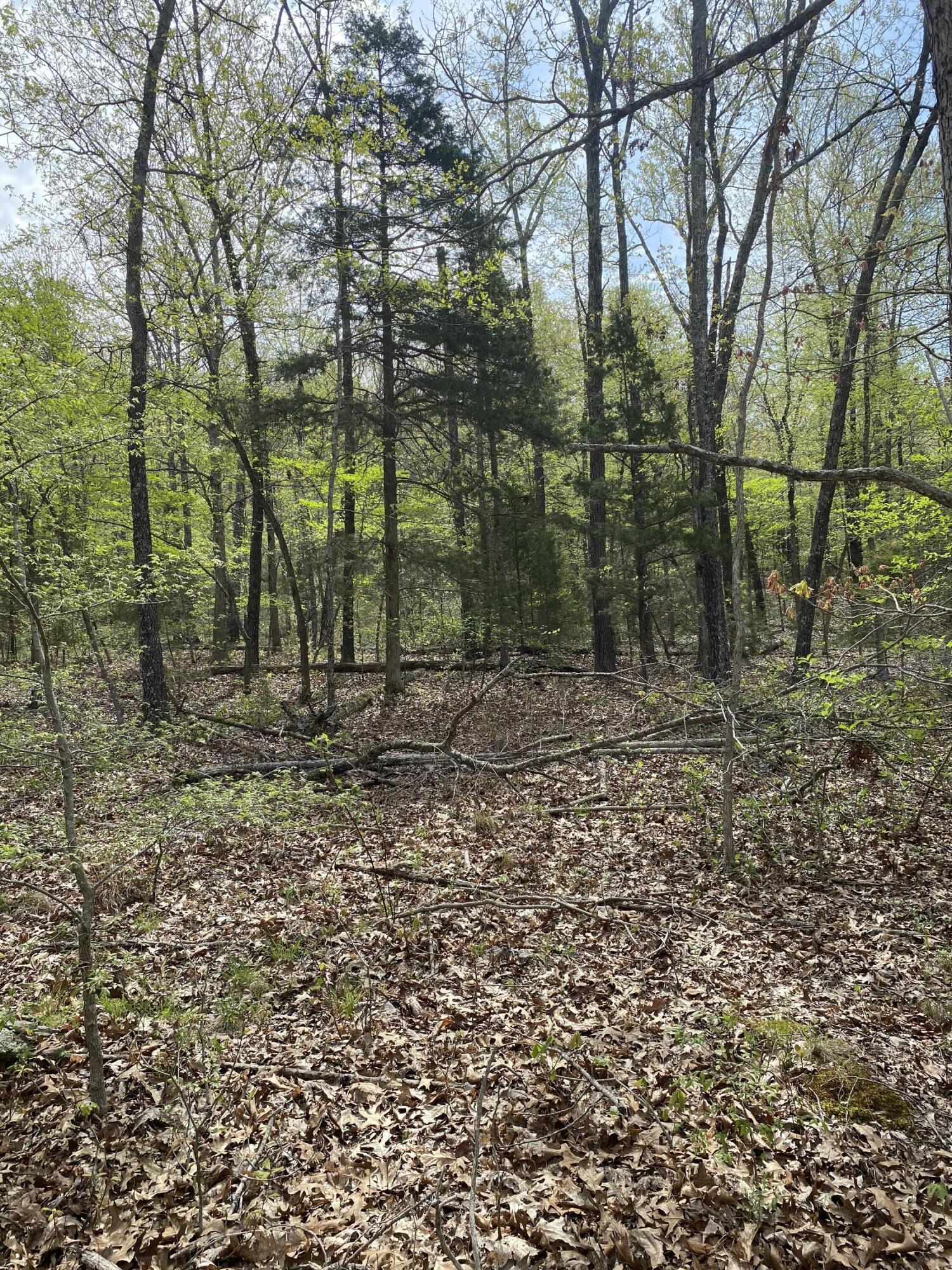 3365 County Road 153 Property Photo 32