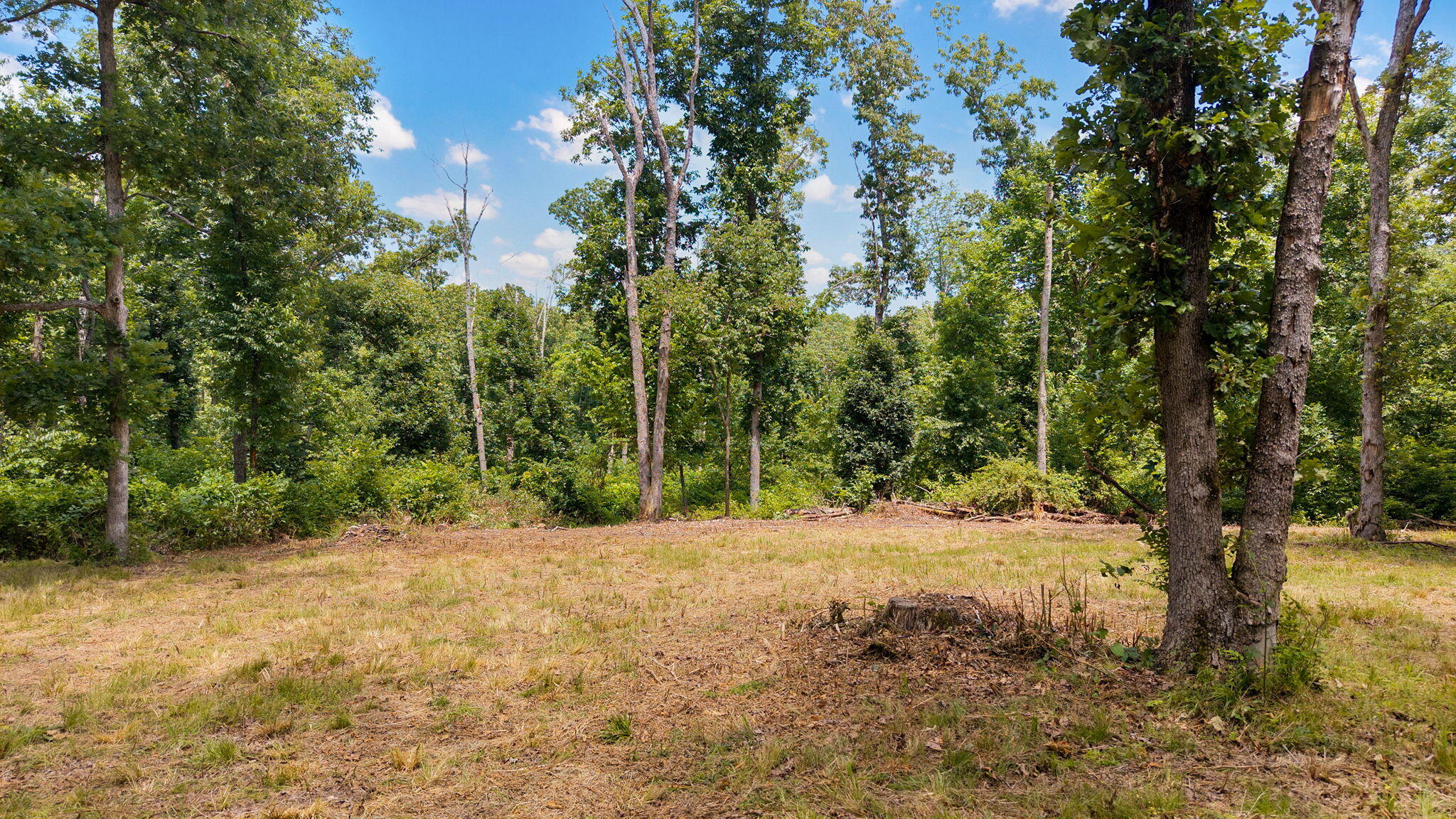 500 North Farm Rd 227 Property Photo 8
