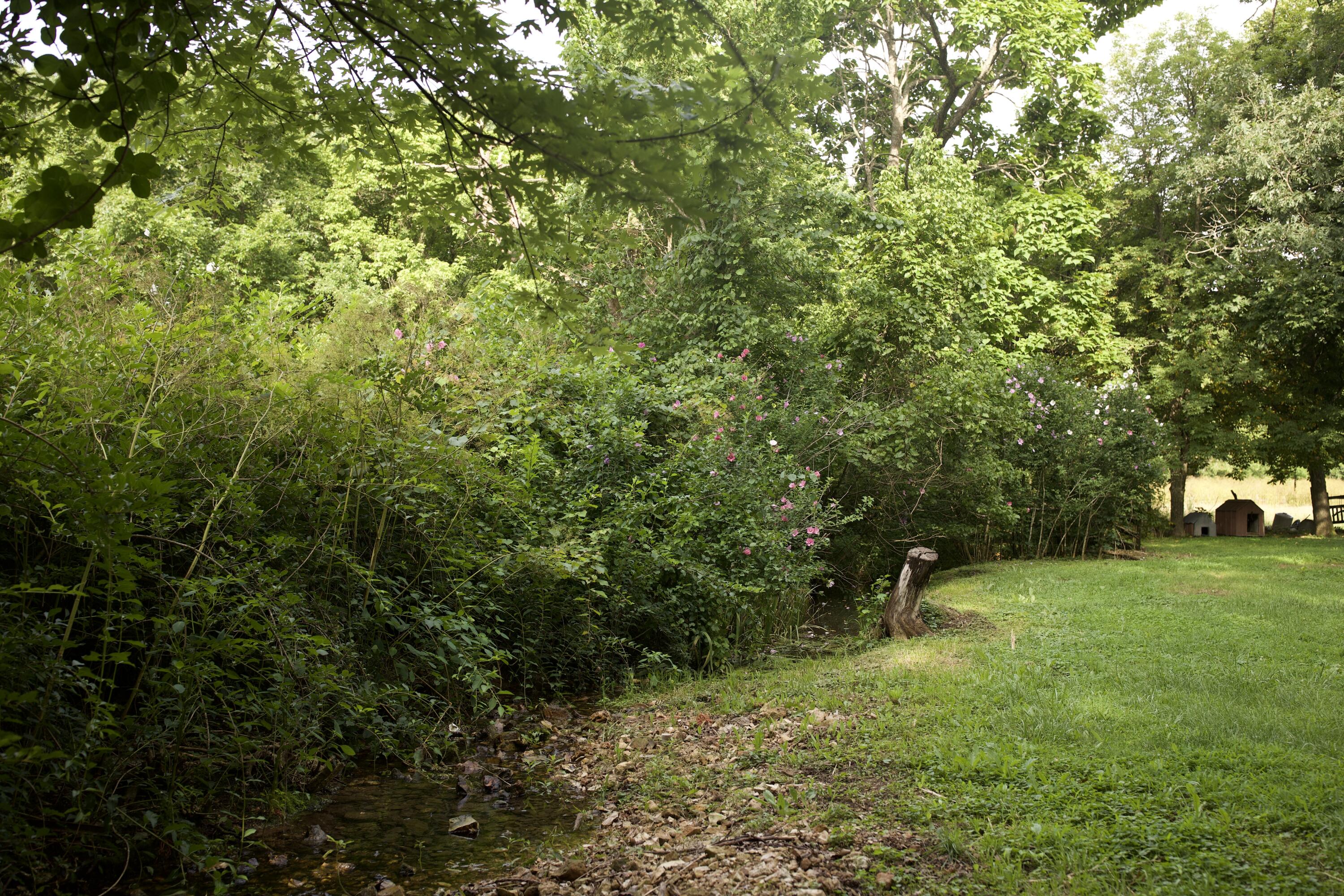60327985 Property Photo 25