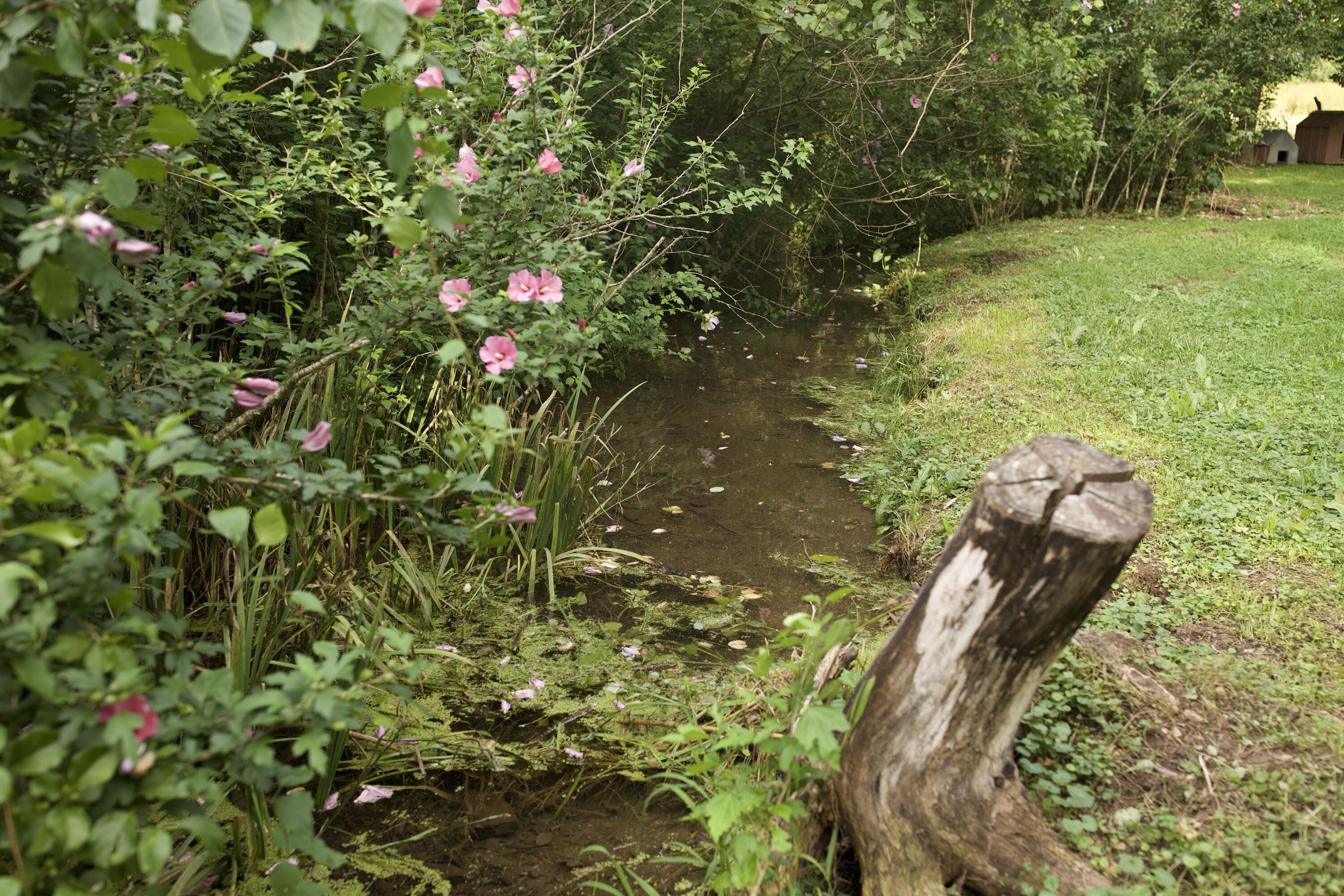60327985 Property Photo 27
