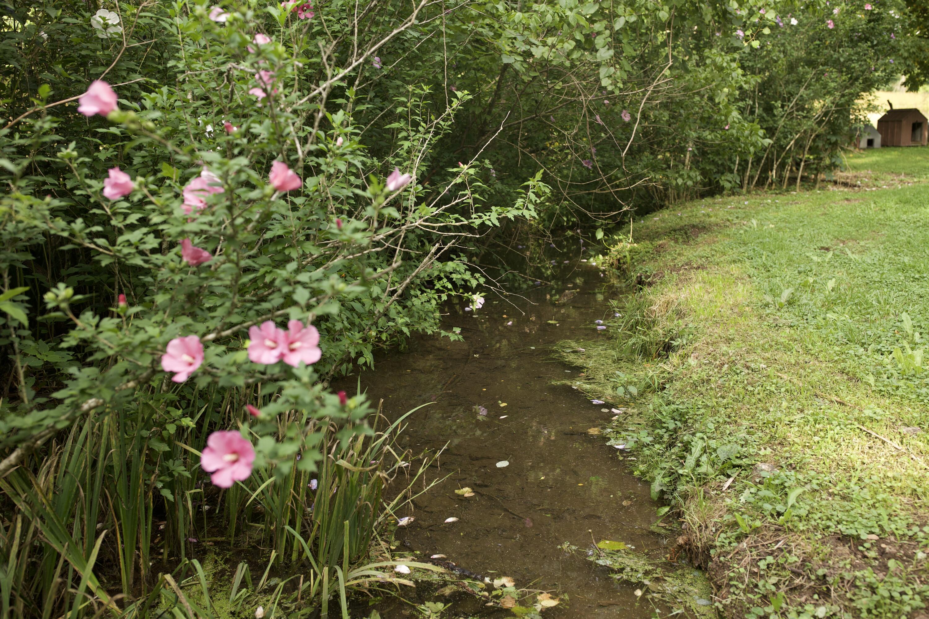 60327985 Property Photo 28