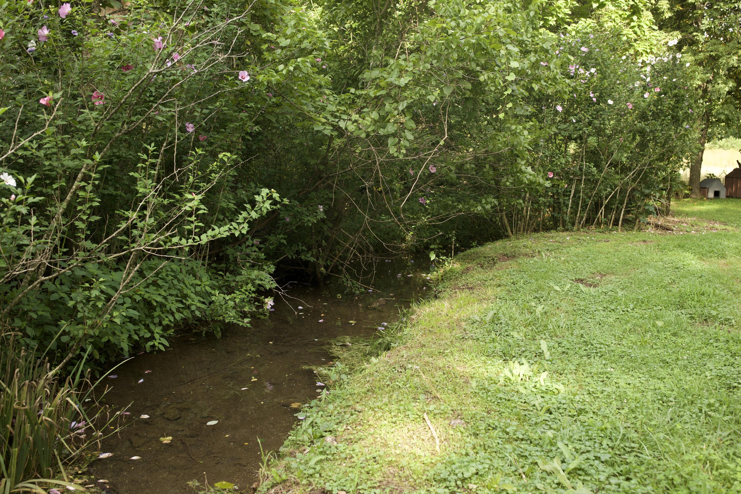 60327985 Property Photo 30