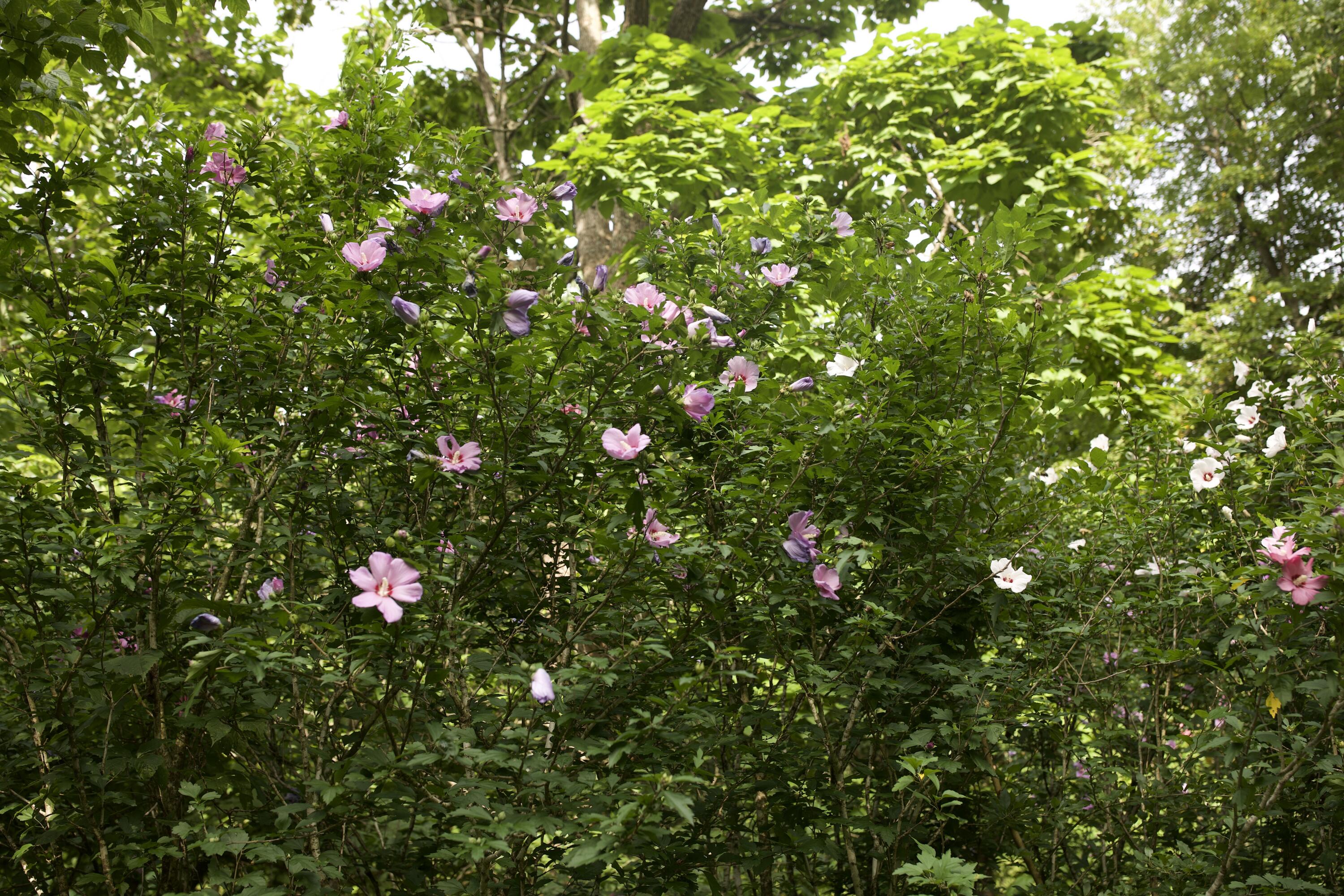 60327985 Property Photo 31