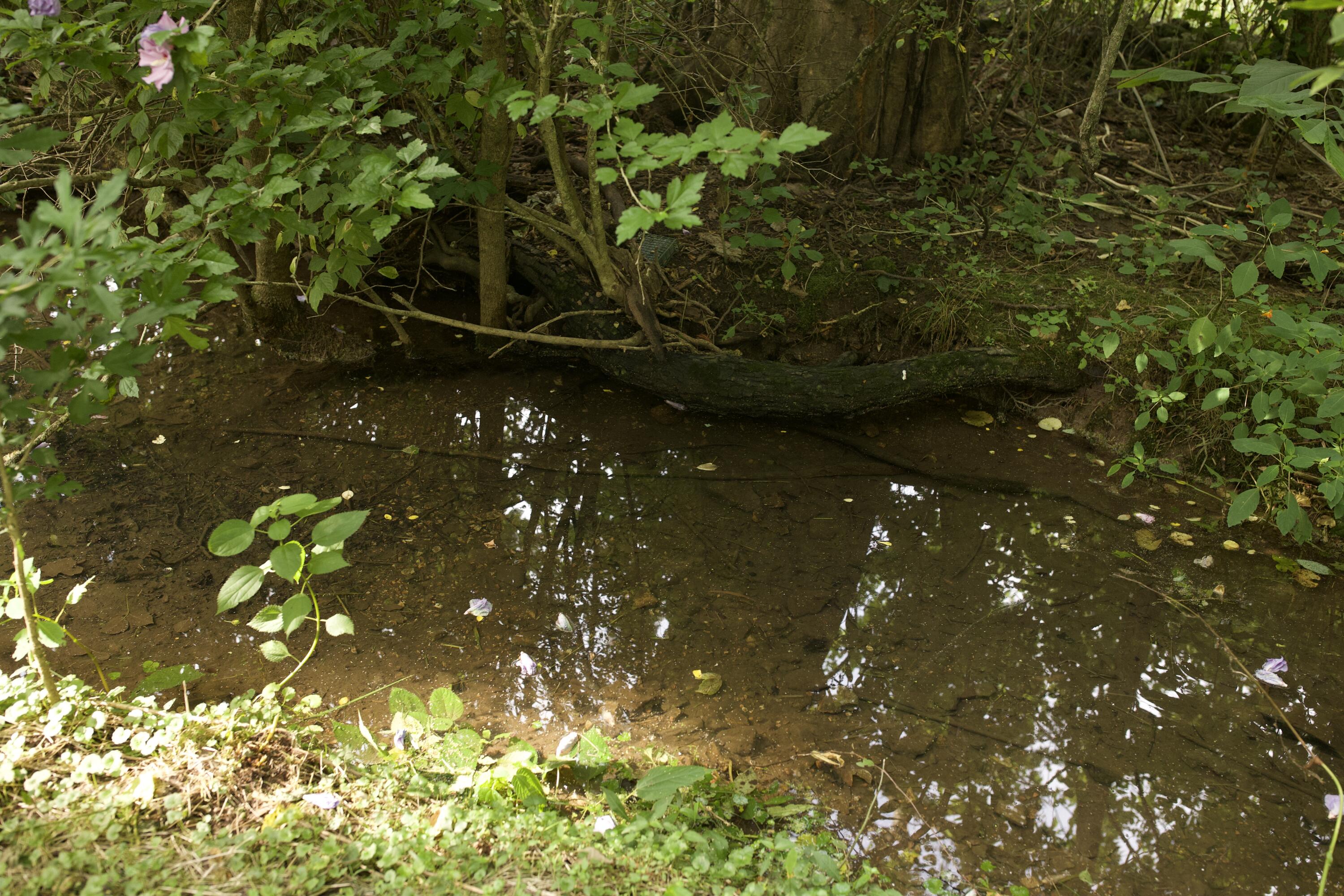 60327985 Property Photo 32