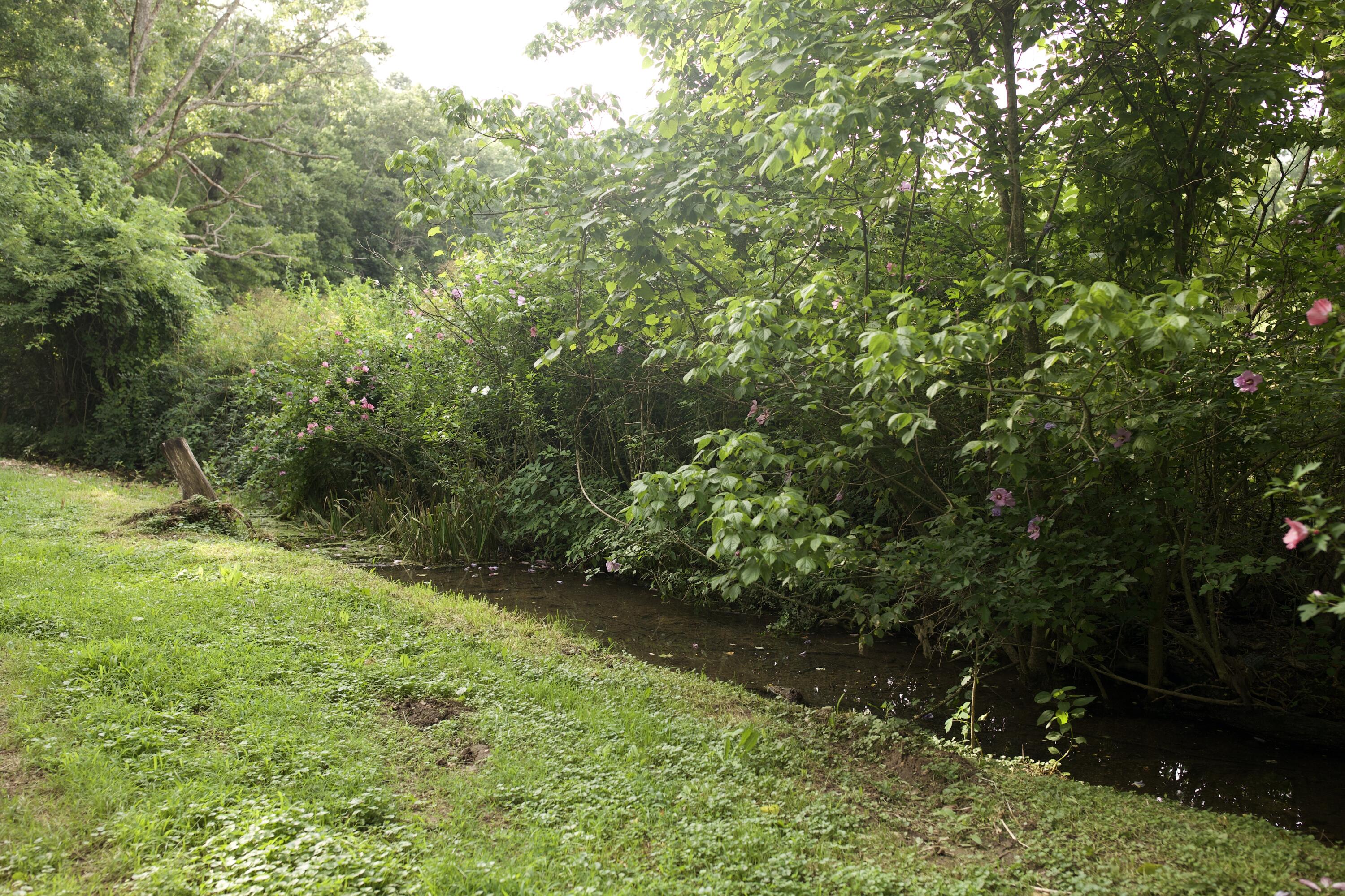 60327985 Property Photo 33