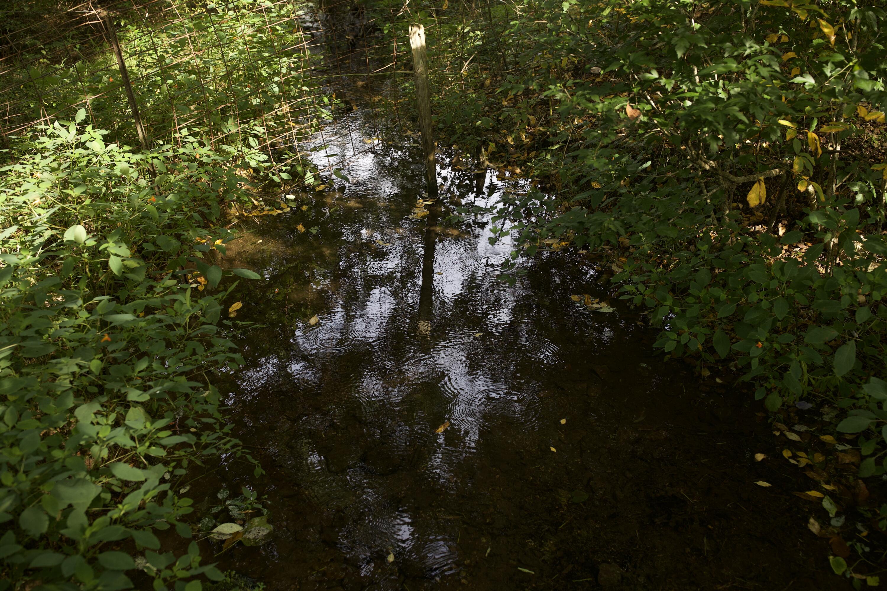 60327985 Property Photo 34
