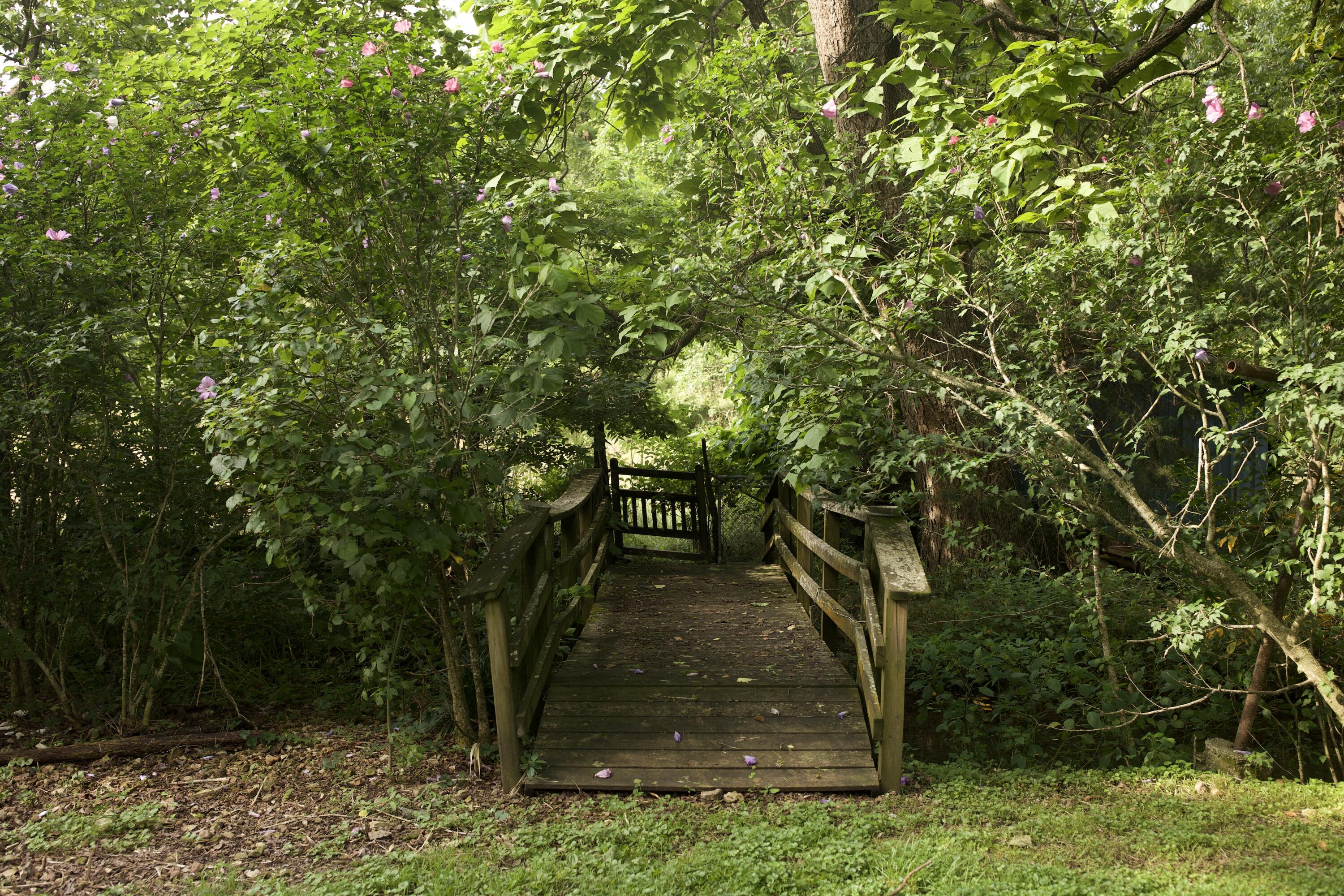 60327985 Property Photo 37