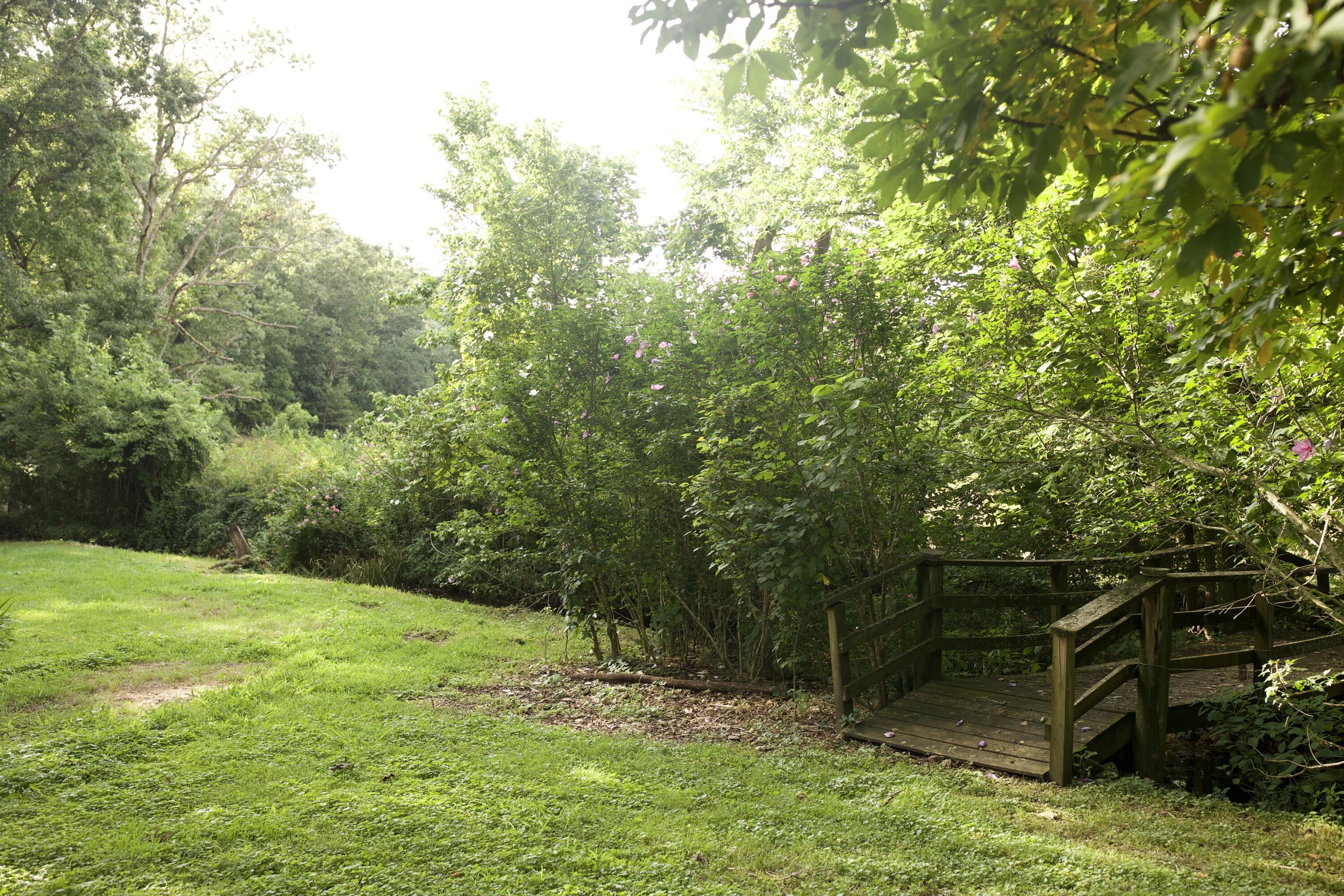 60327985 Property Photo 38