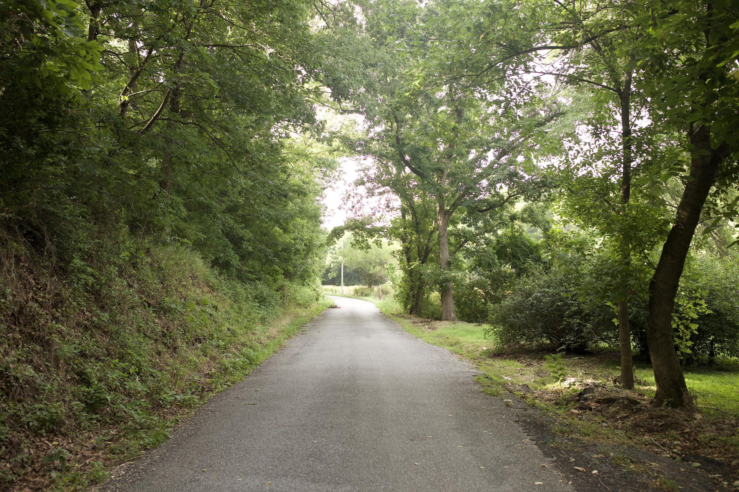 60327985 Property Photo 41