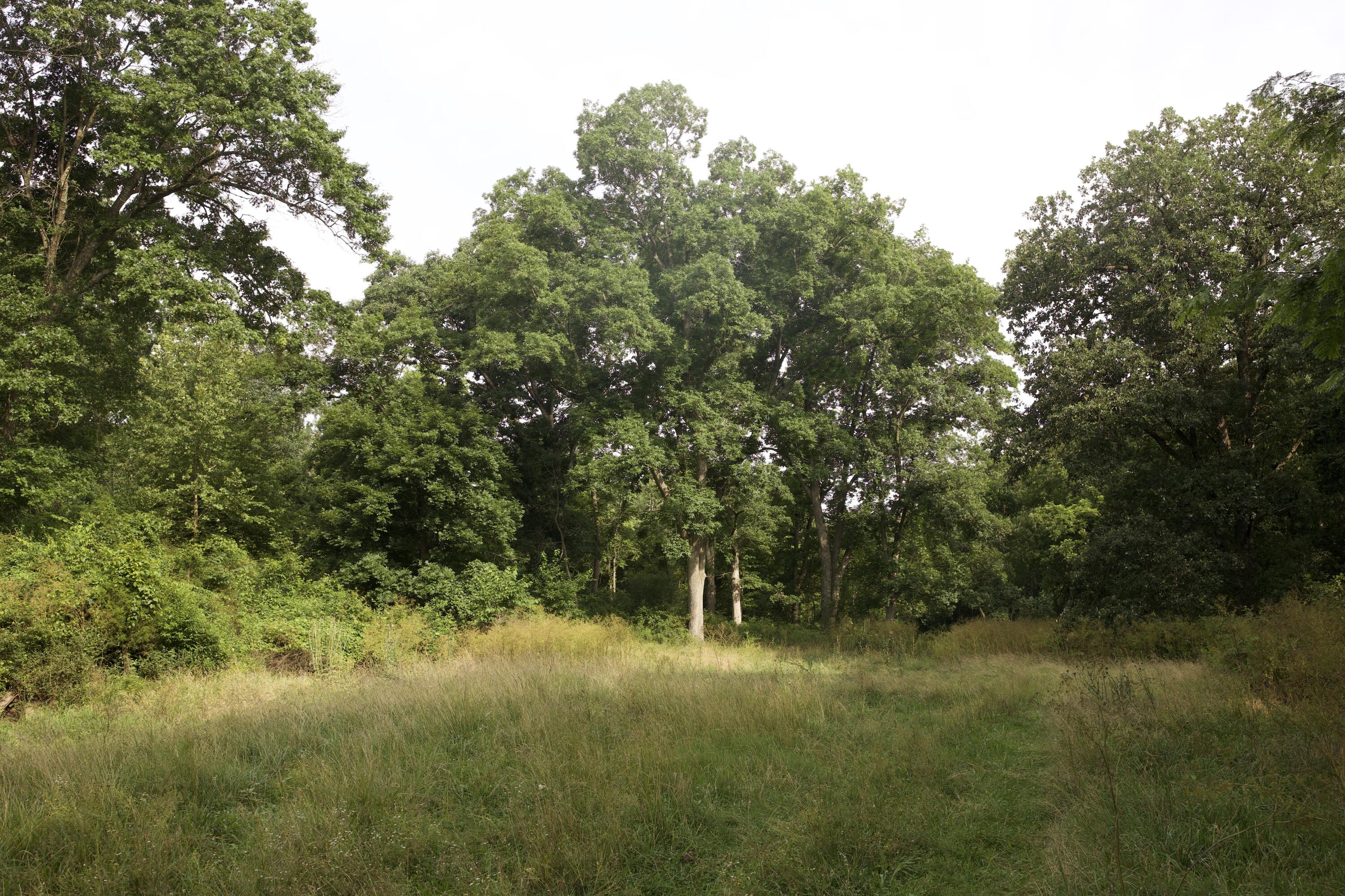 60327985 Property Photo 63