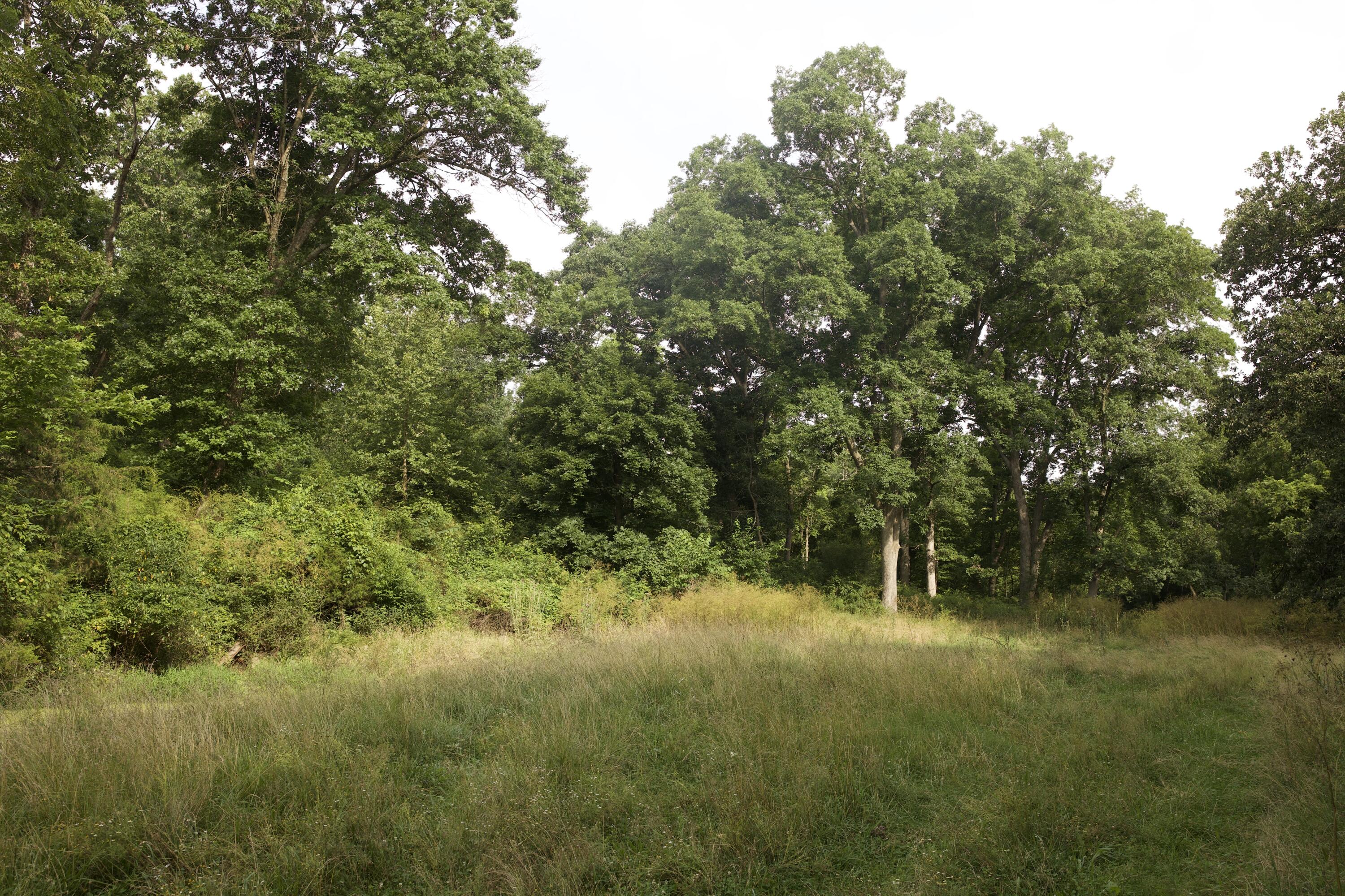 60327985 Property Photo 64