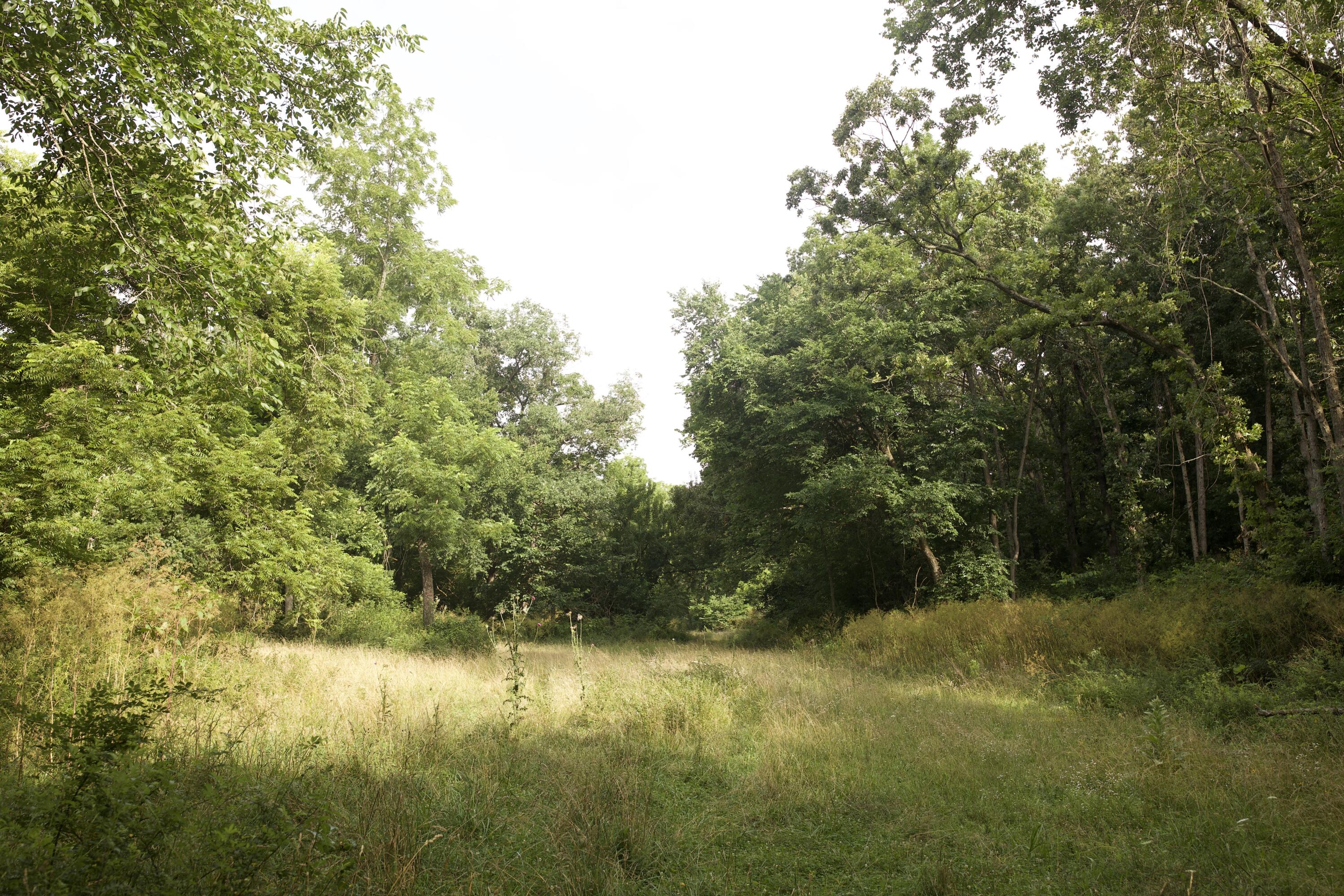 60327985 Property Photo 66