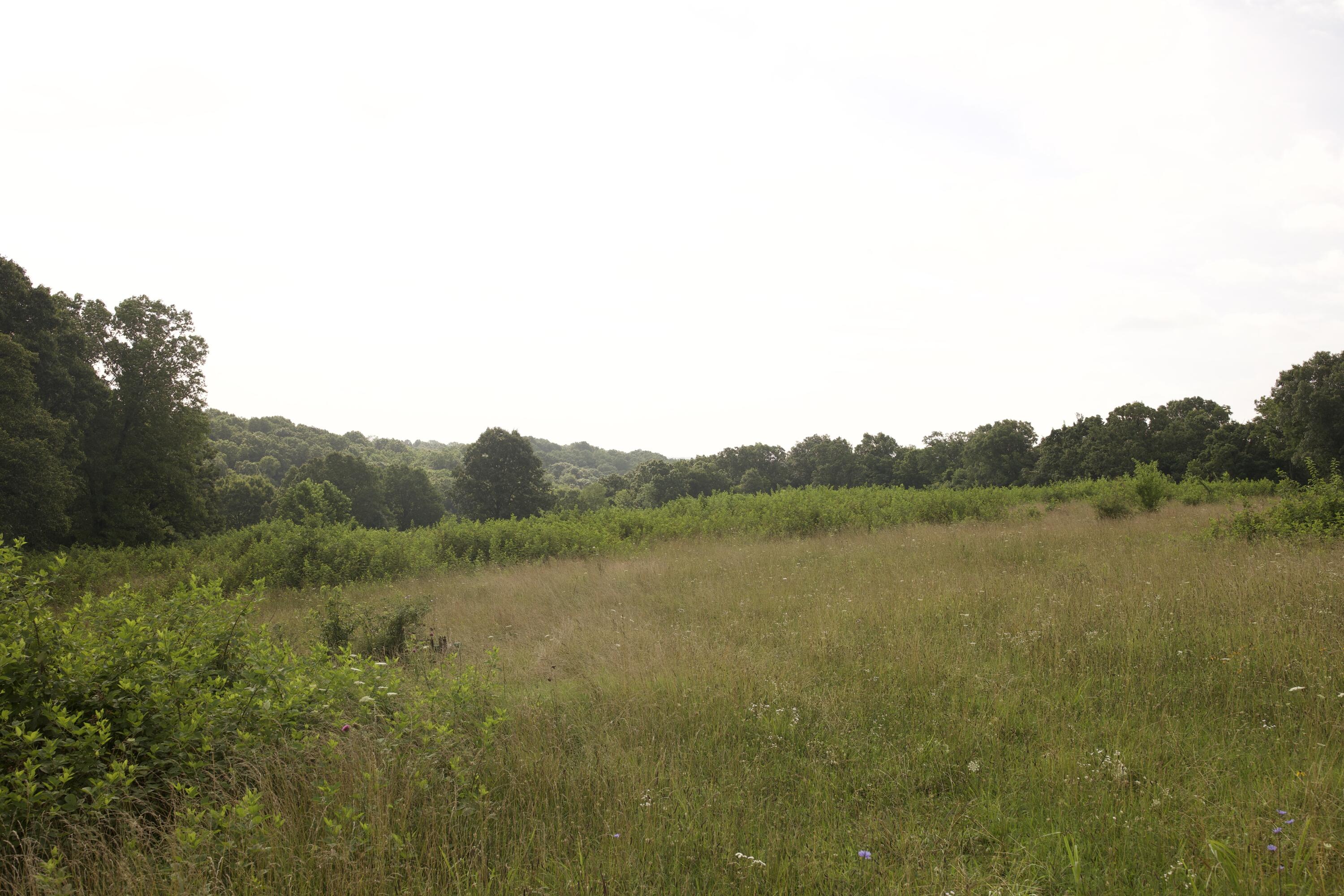 60327985 Property Photo 68