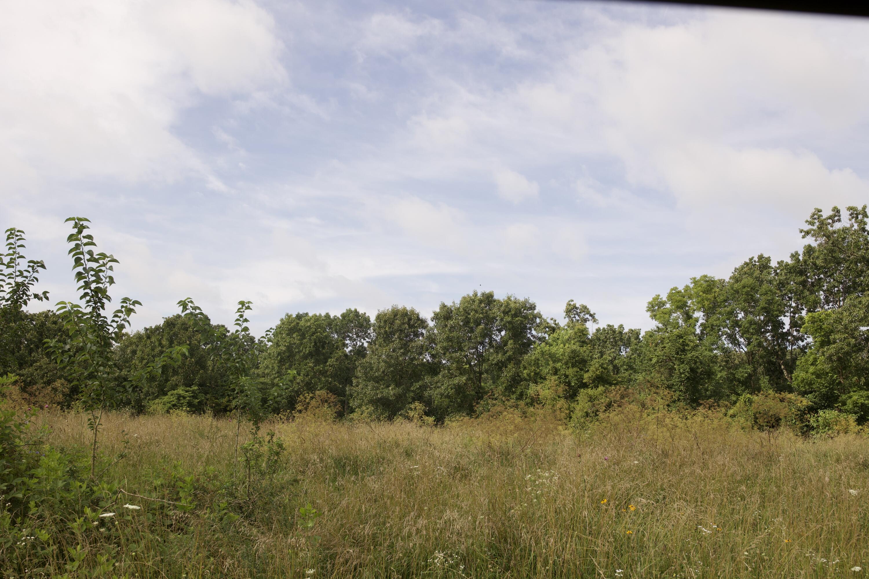 60327985 Property Photo 69