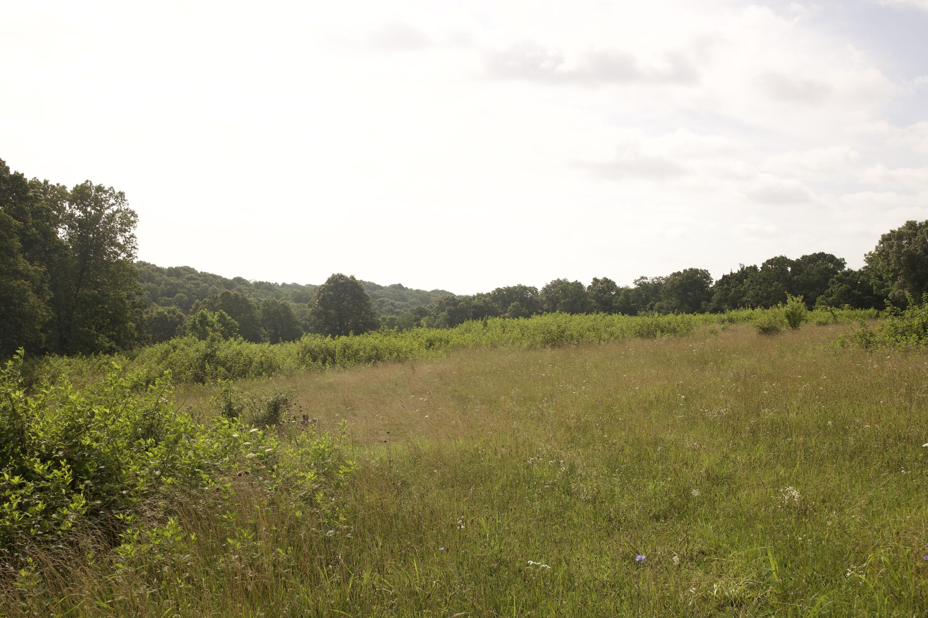 60327985 Property Photo 71