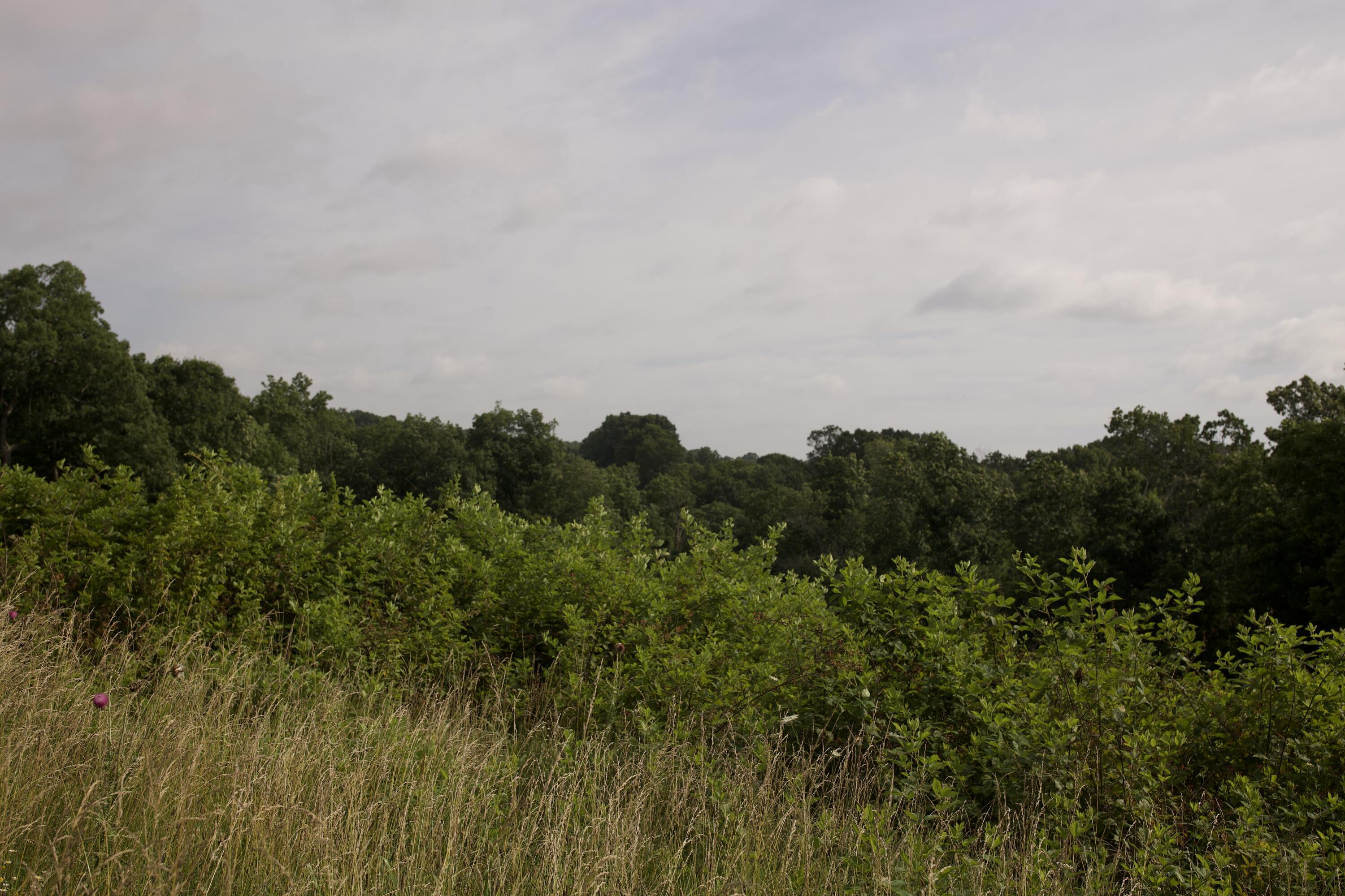 60327985 Property Photo 72