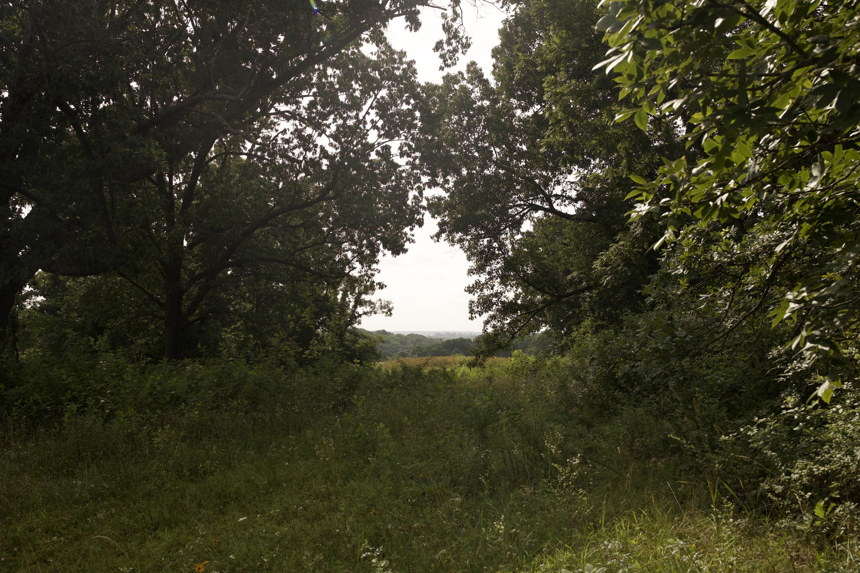 60327985 Property Photo 76