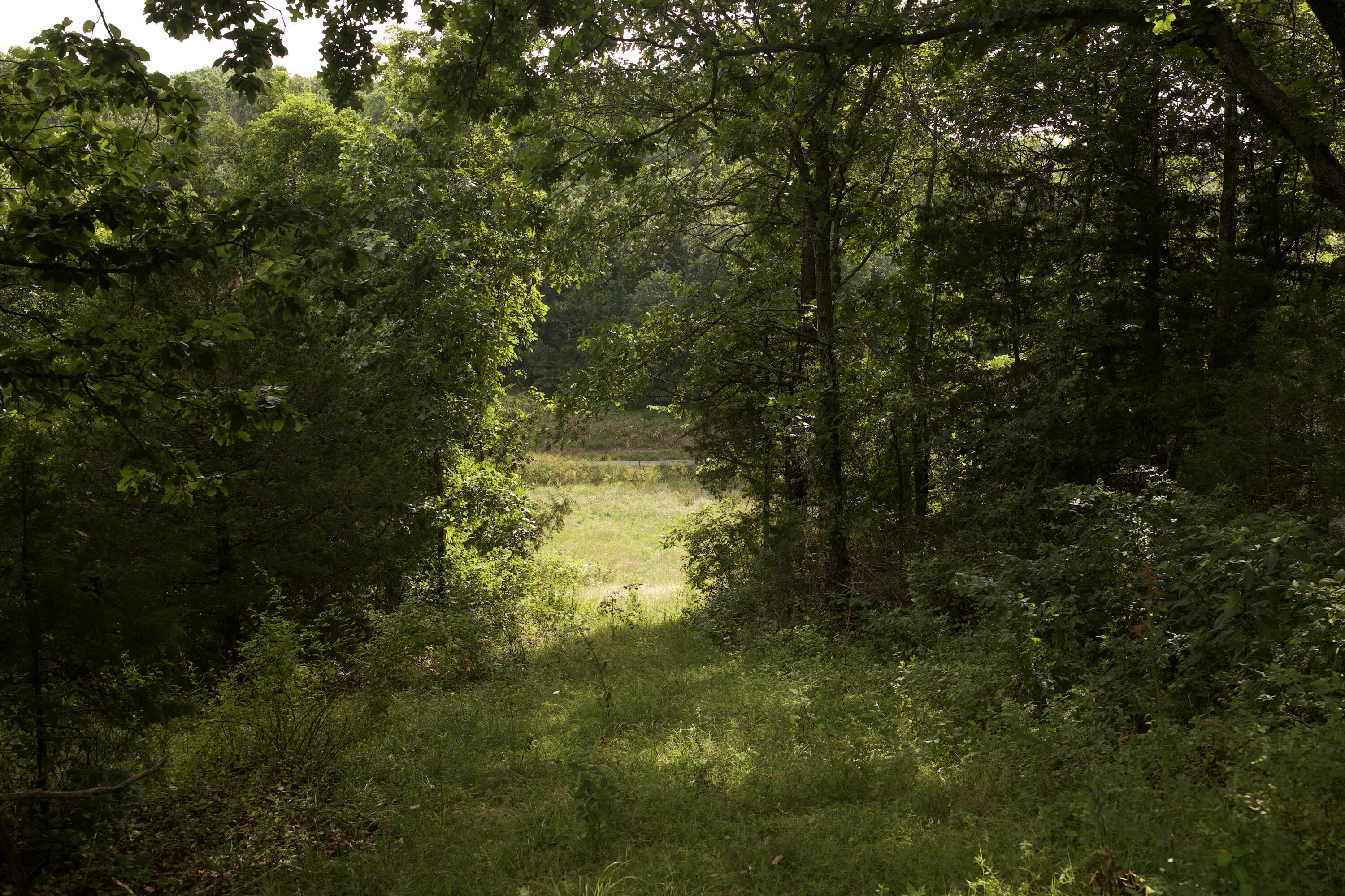 60327985 Property Photo 77
