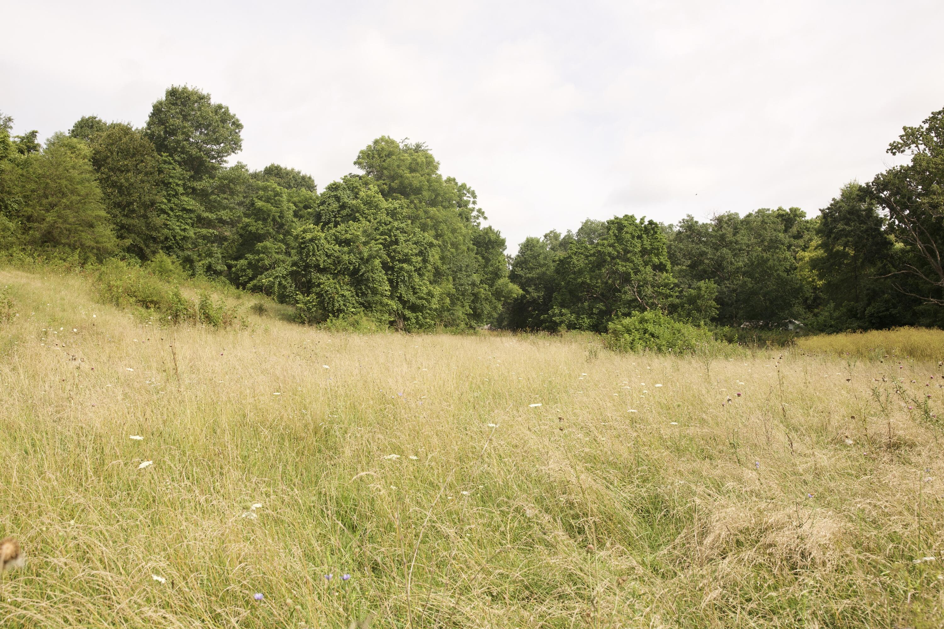 60327985 Property Photo 78