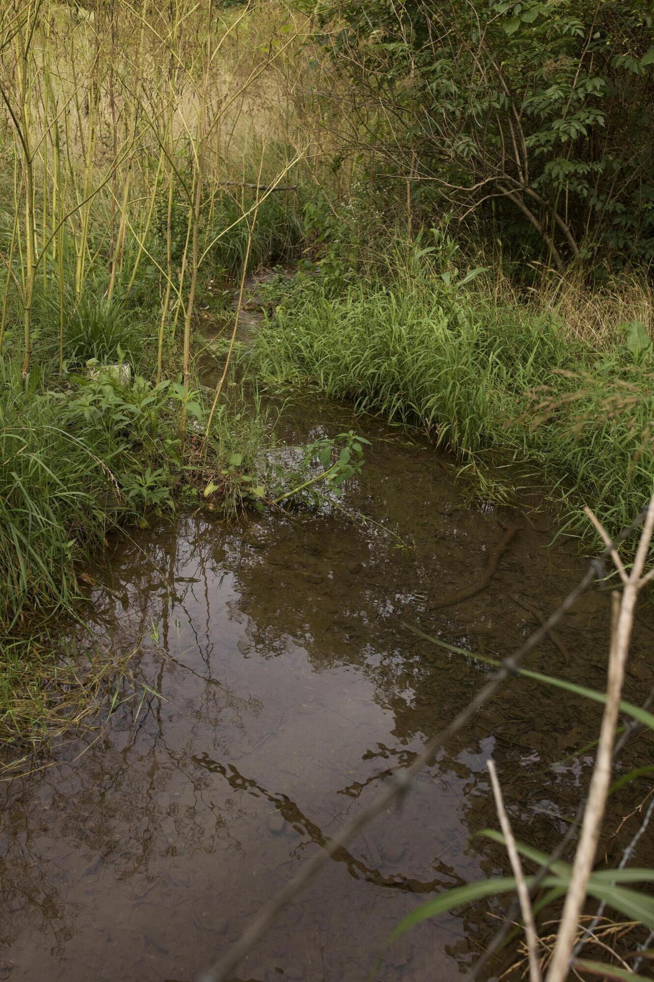 60327985 Property Photo 80