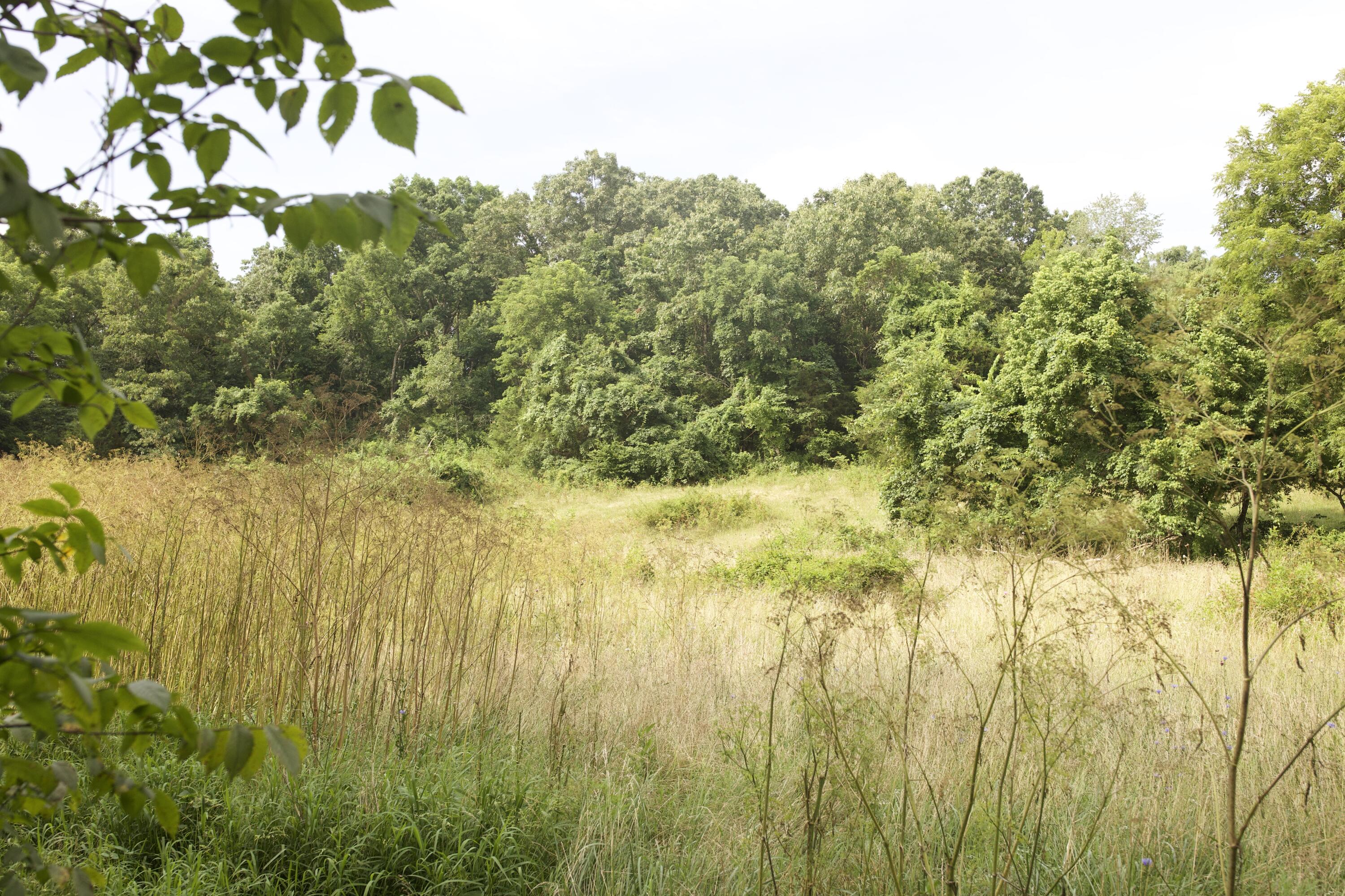 60327985 Property Photo 83