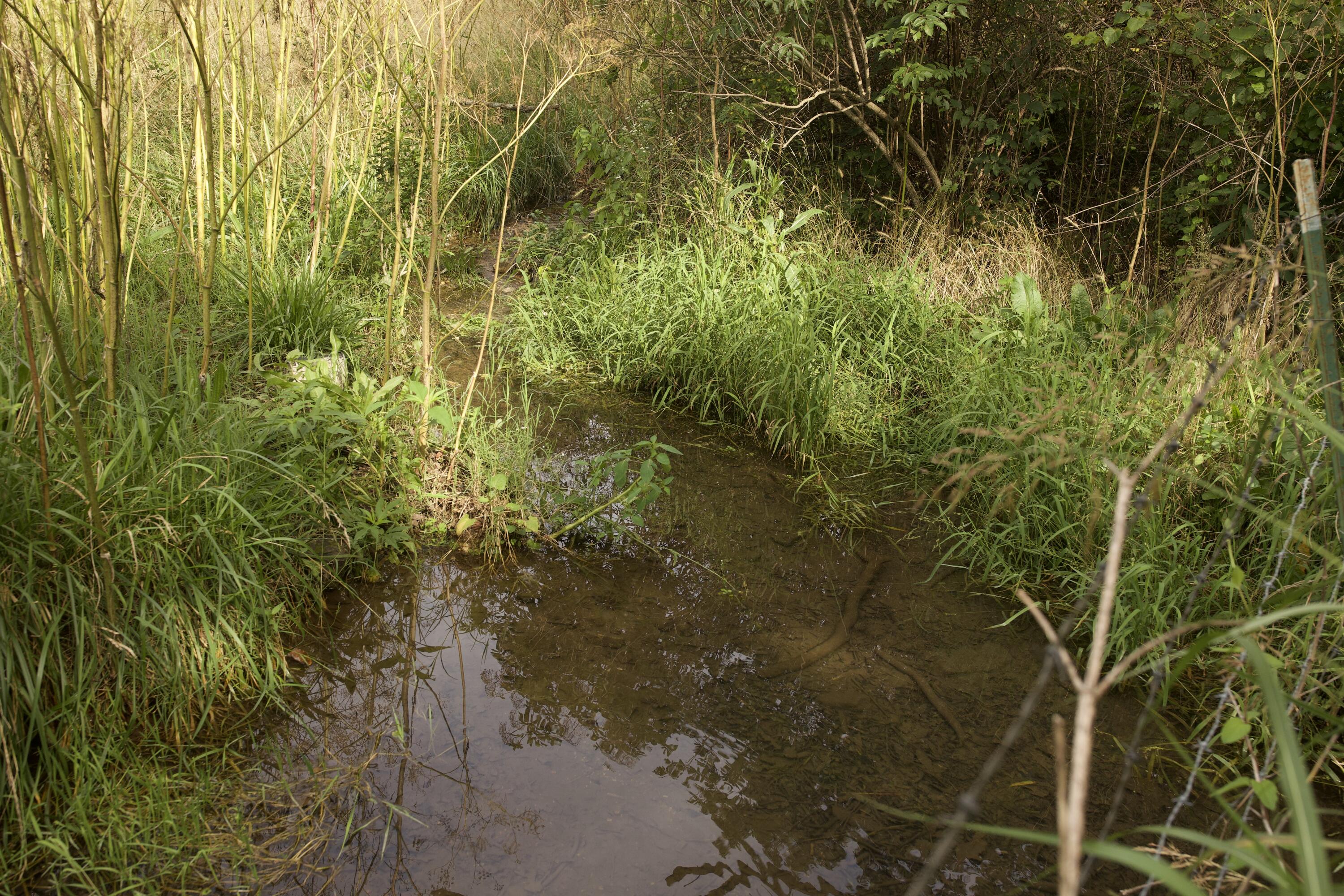 60327985 Property Photo 84