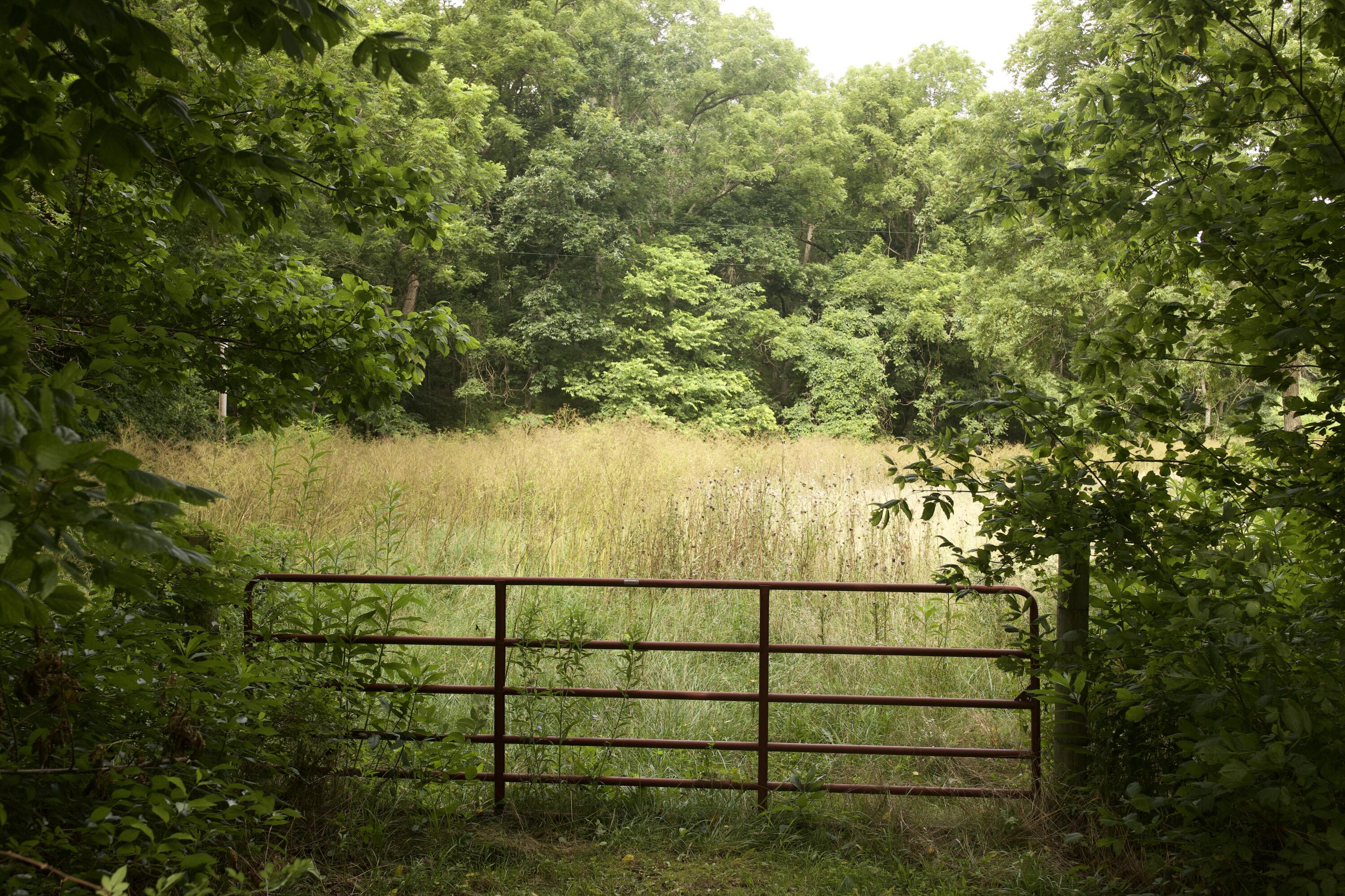 60327985 Property Photo 85