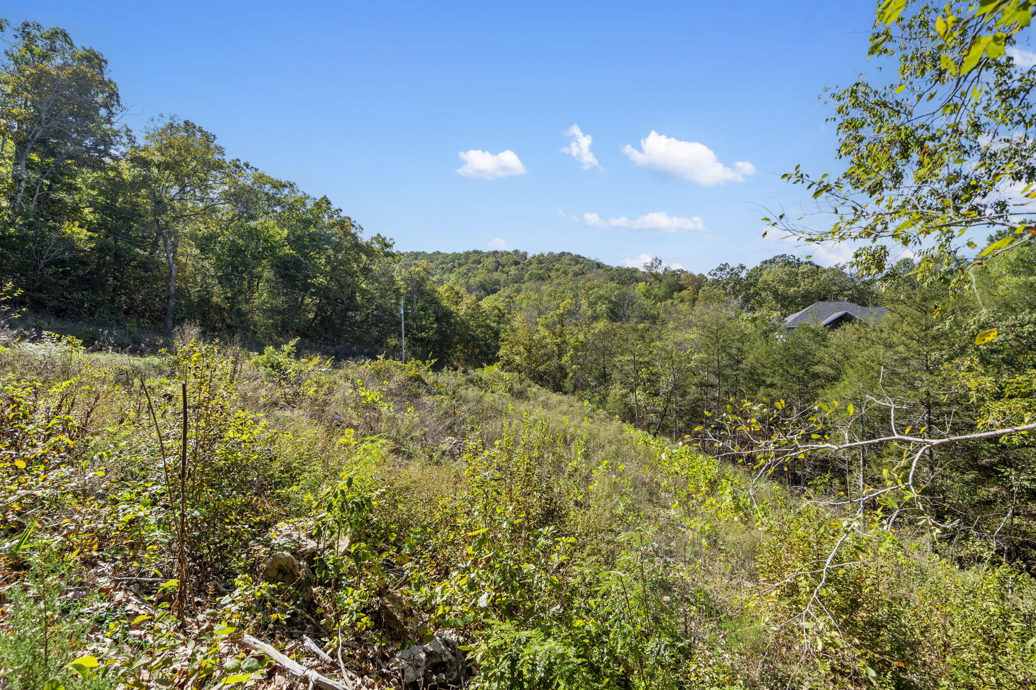 195 Kings Ridge Road Property Photo 3