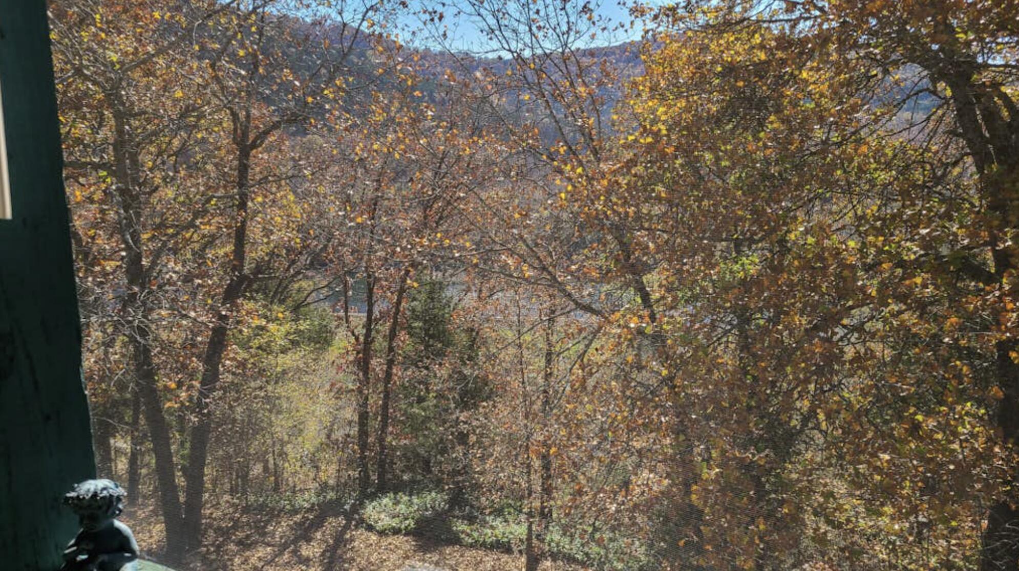 150 The Bluffs 11 Property Photo 13