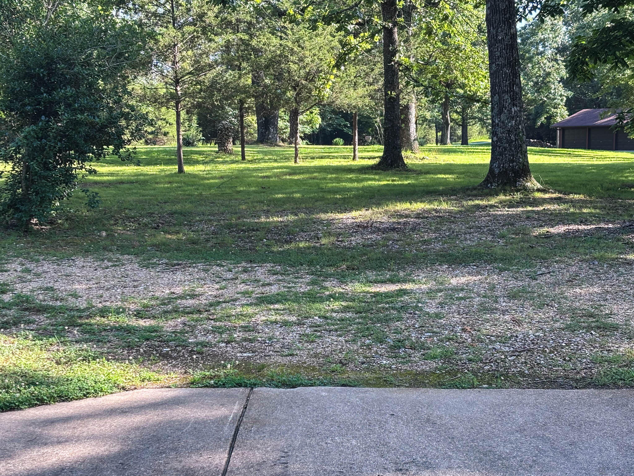 667 County Road 636 Property Photo 15
