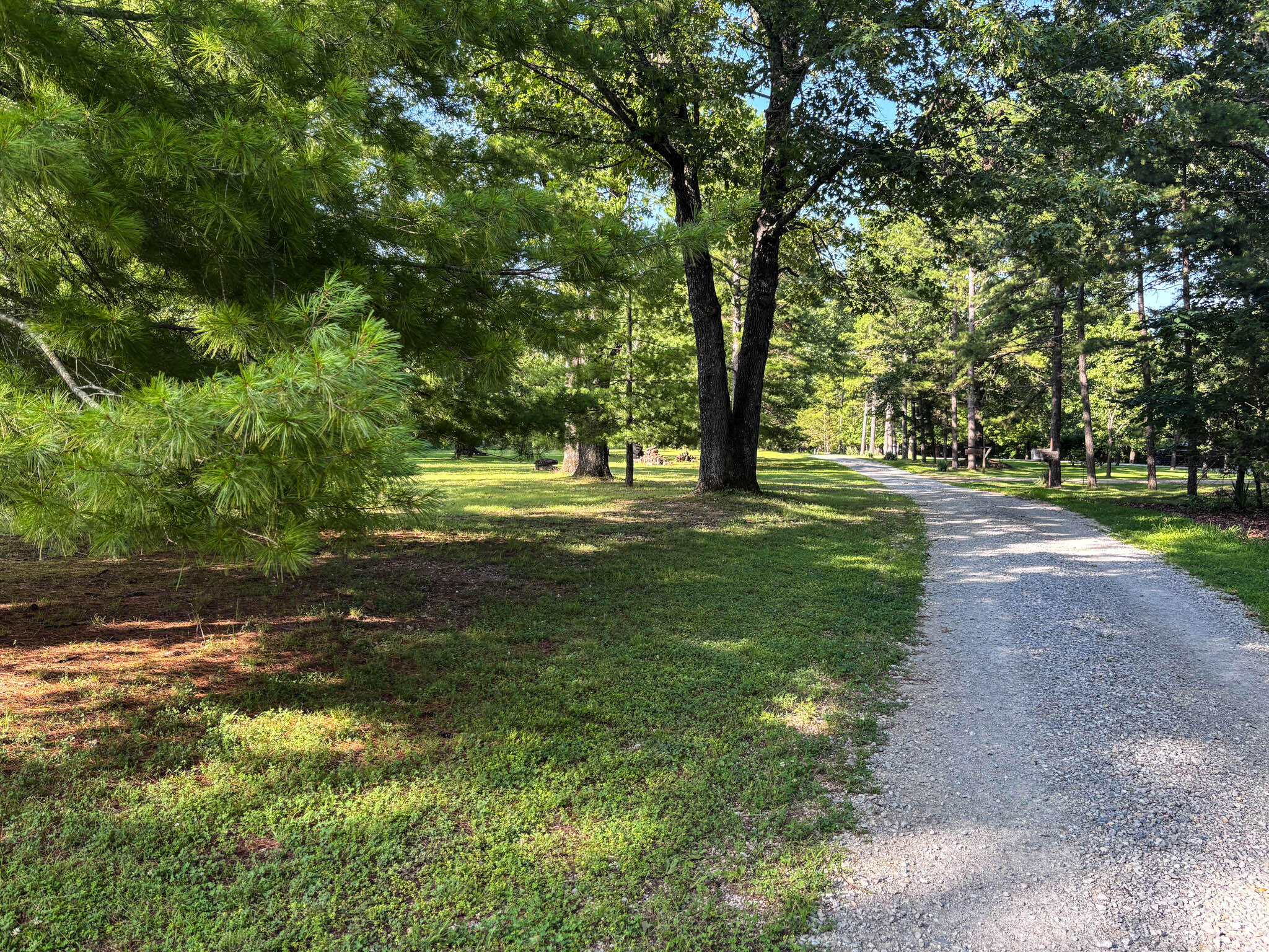 667 County Road 636 Property Photo 17