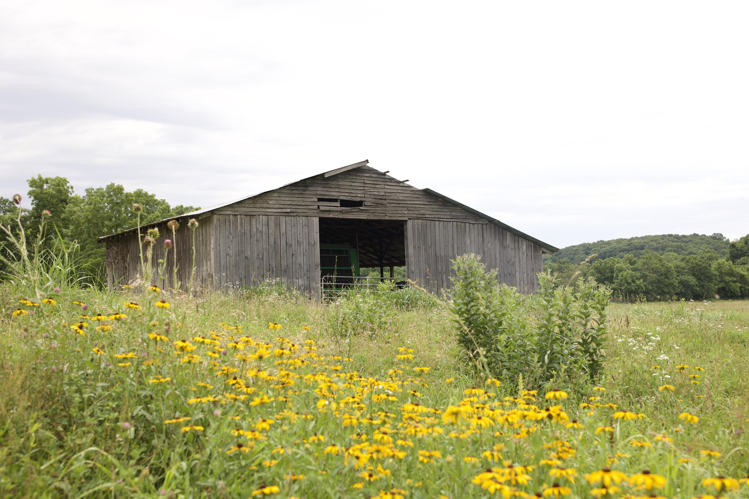540 Reindeer Road Property Photo 4