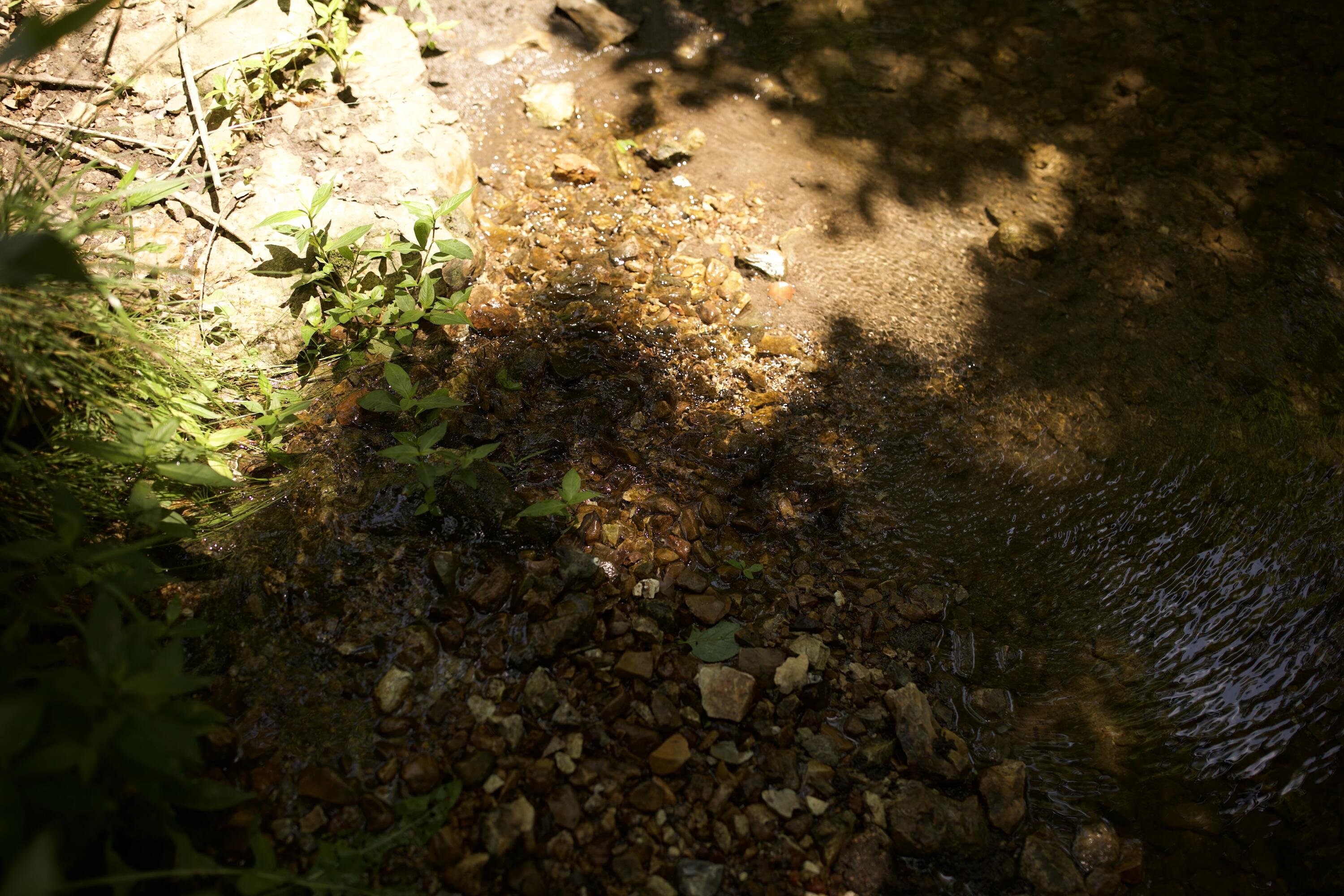 540 Reindeer Road Property Photo 69
