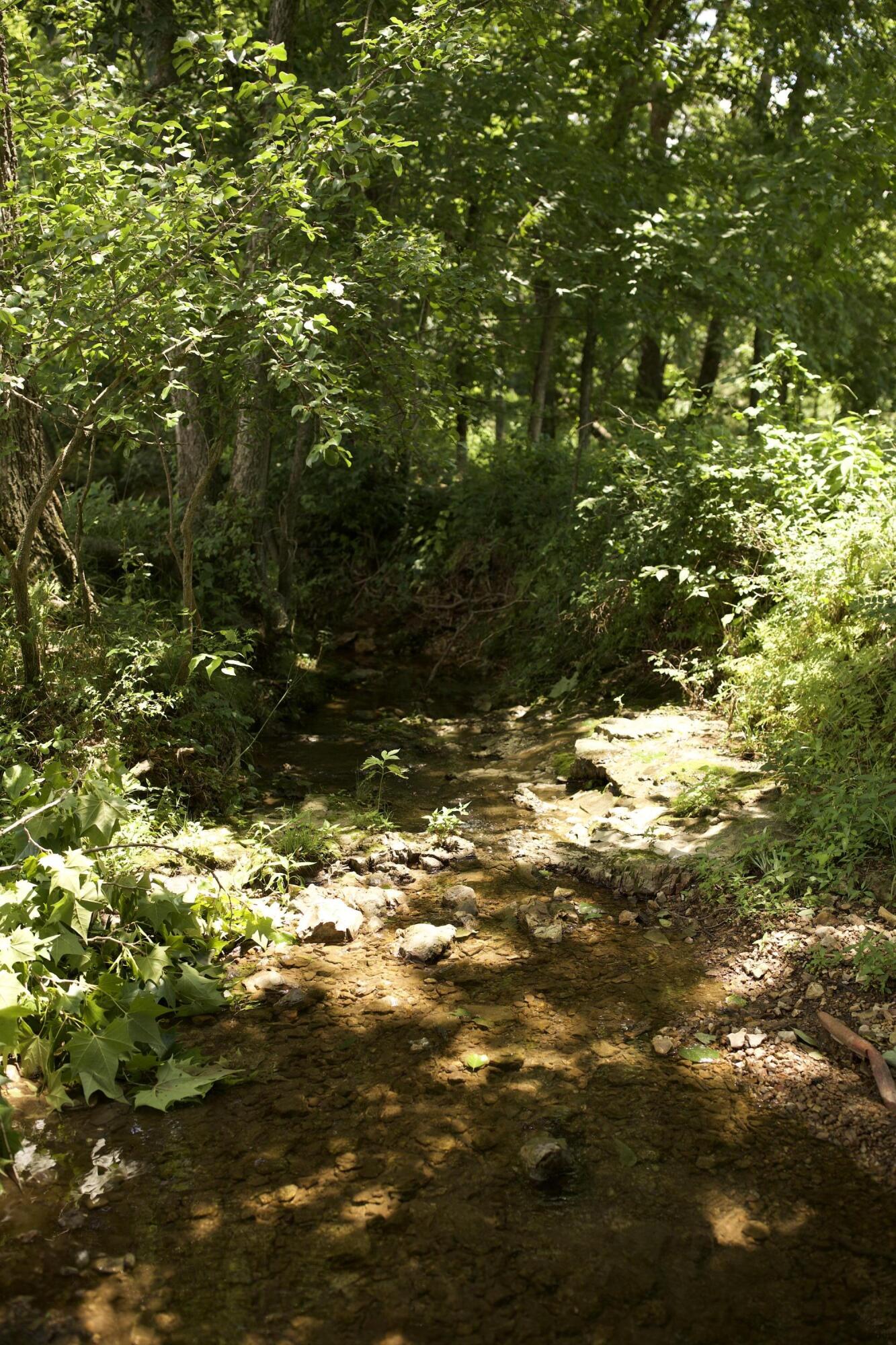 540 Reindeer Road Property Photo 70