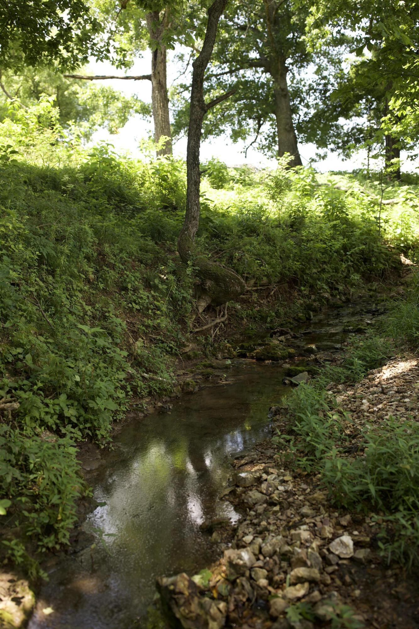 540 Reindeer Road Property Photo 72