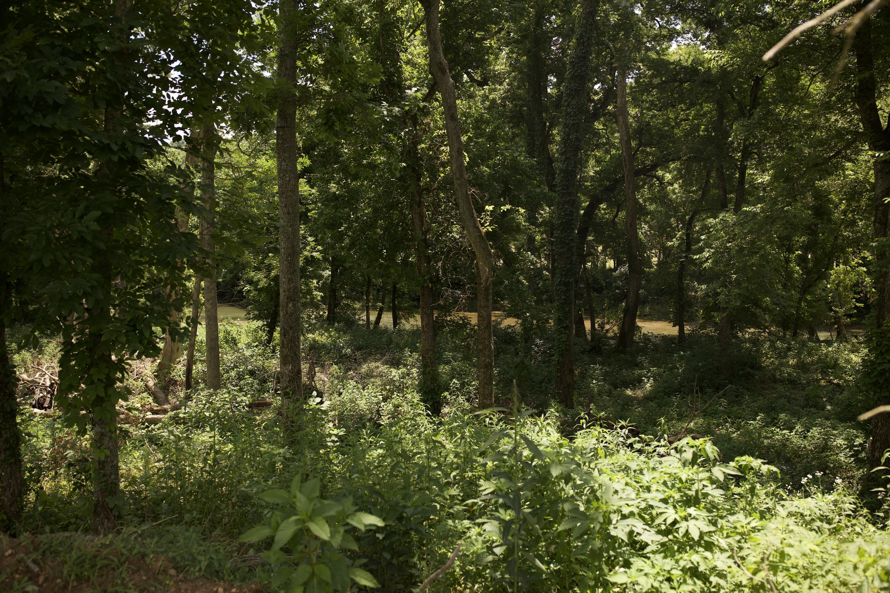 540 Reindeer Road Property Photo 77