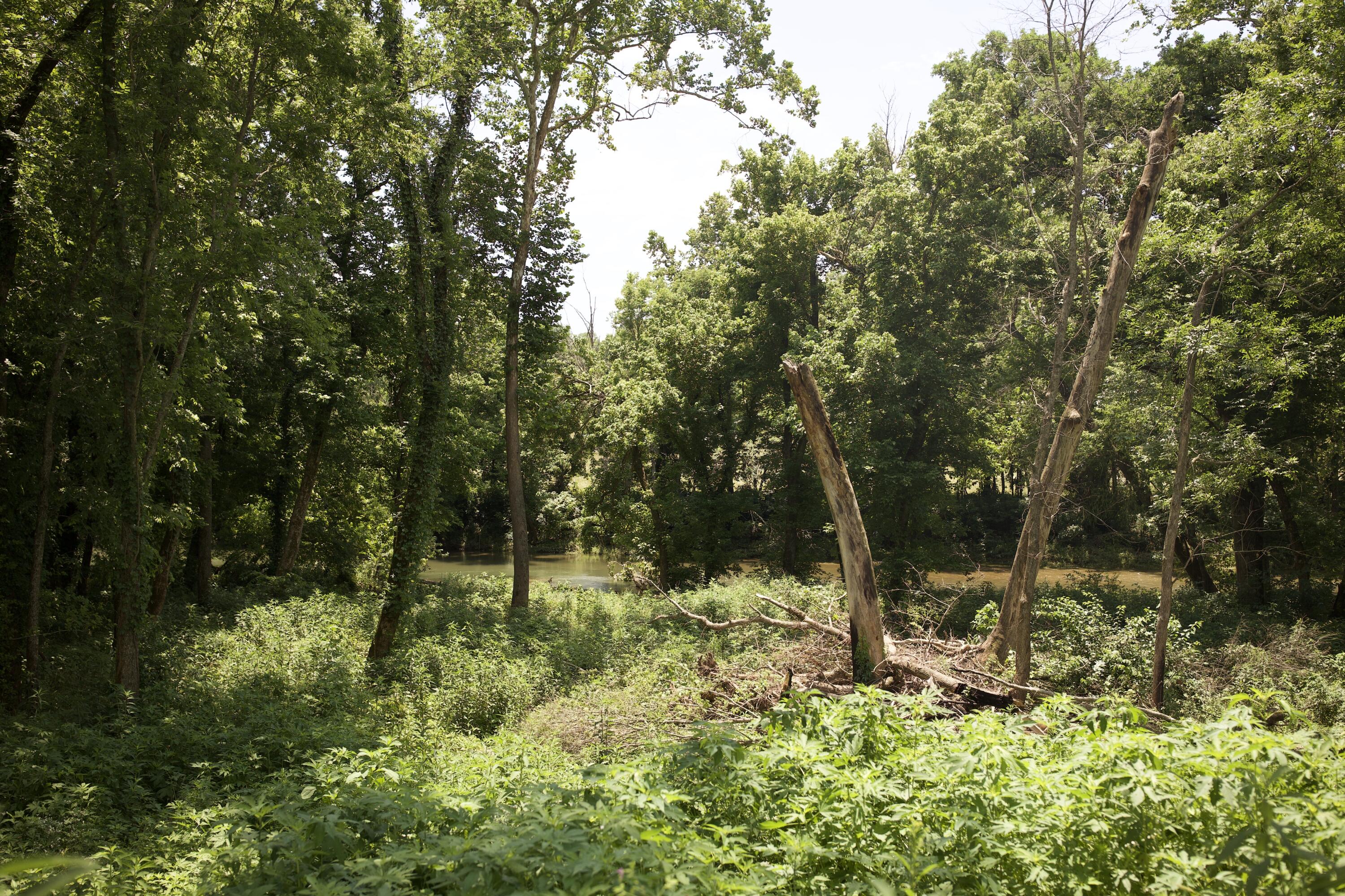 540 Reindeer Road Property Photo 79