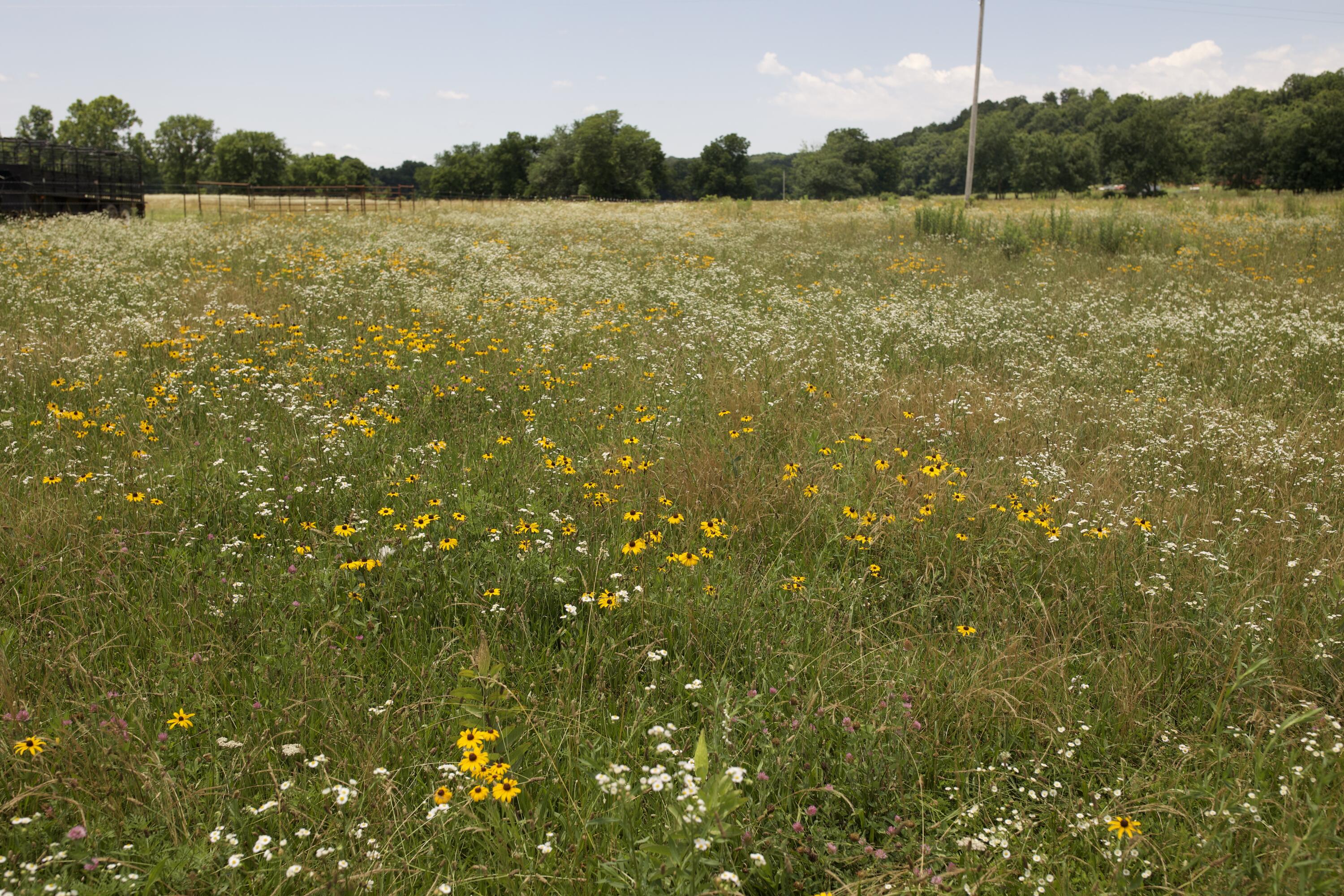 540 Reindeer Road Property Photo 86