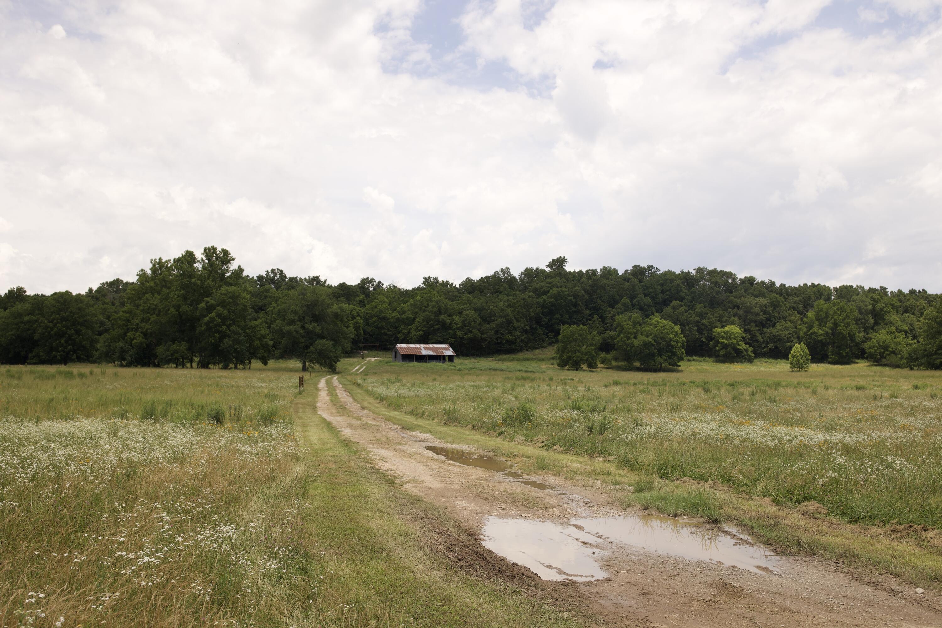 540 Reindeer Road Property Photo 87