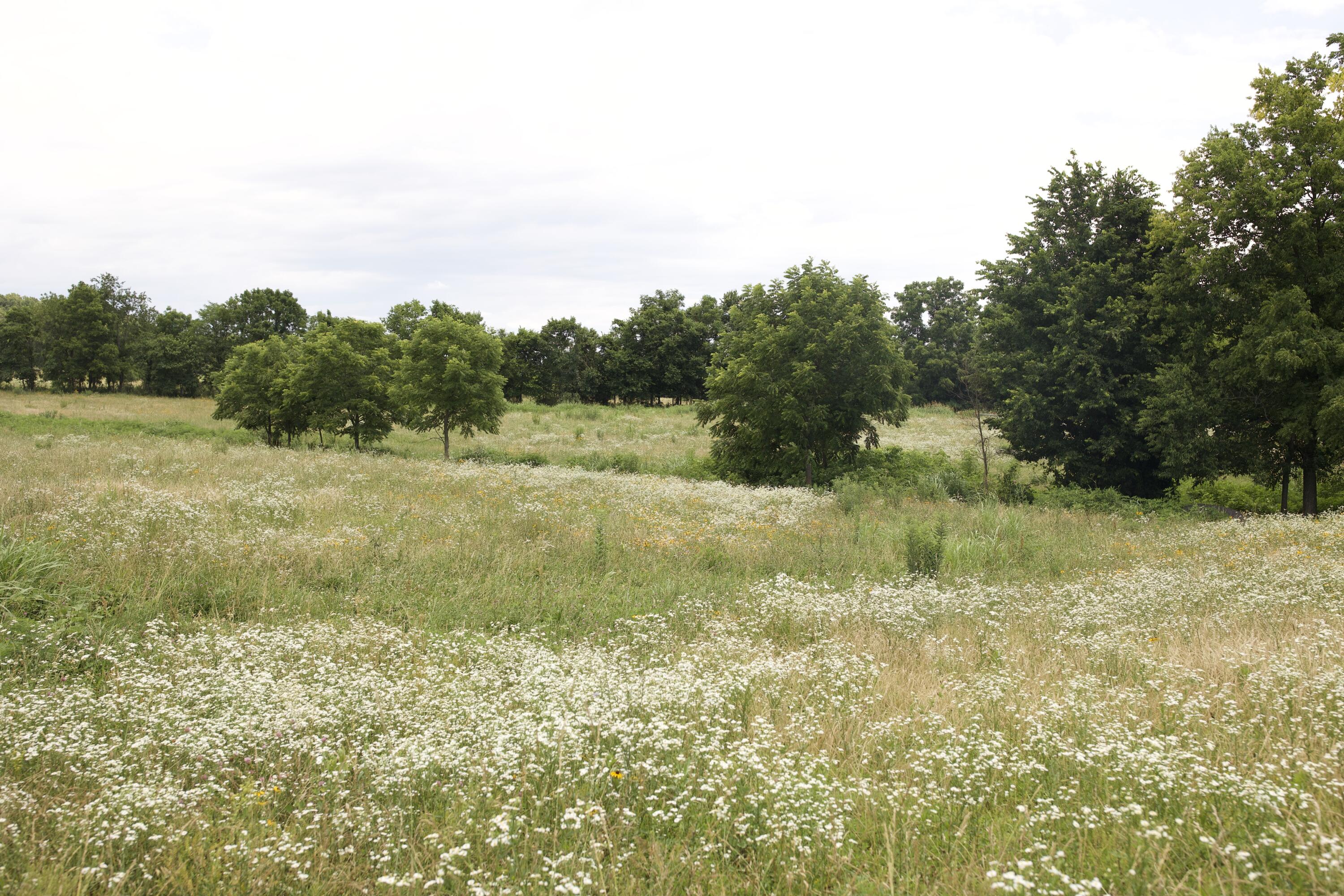 540 Reindeer Road Property Photo 88