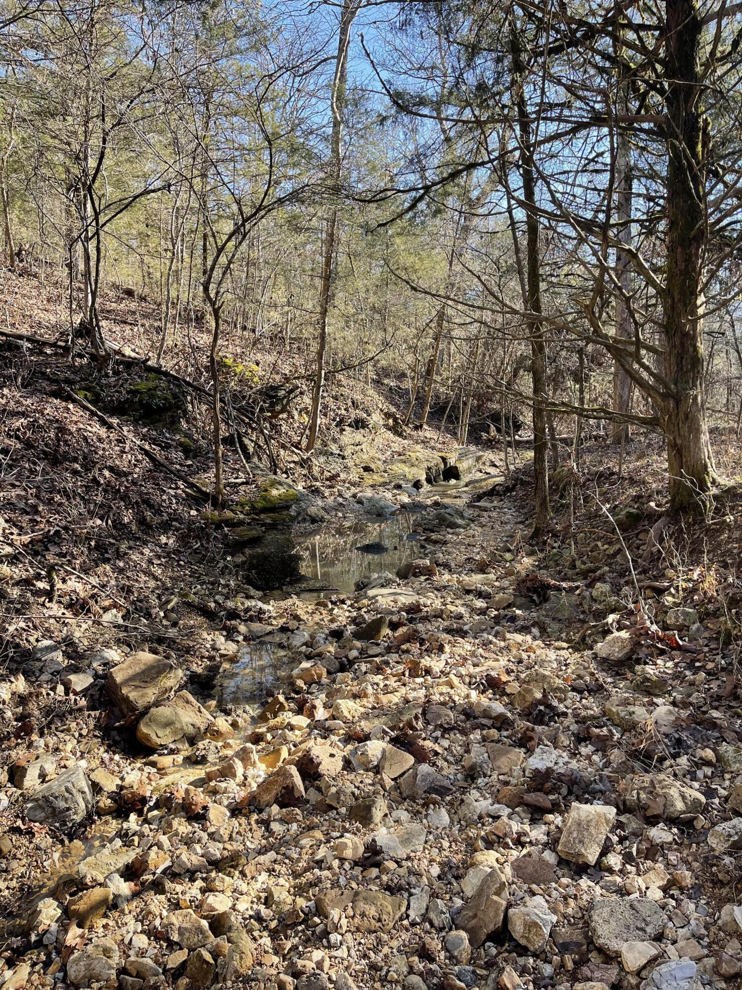 000 Us Hwy 160 Section B & C Property Photo 1