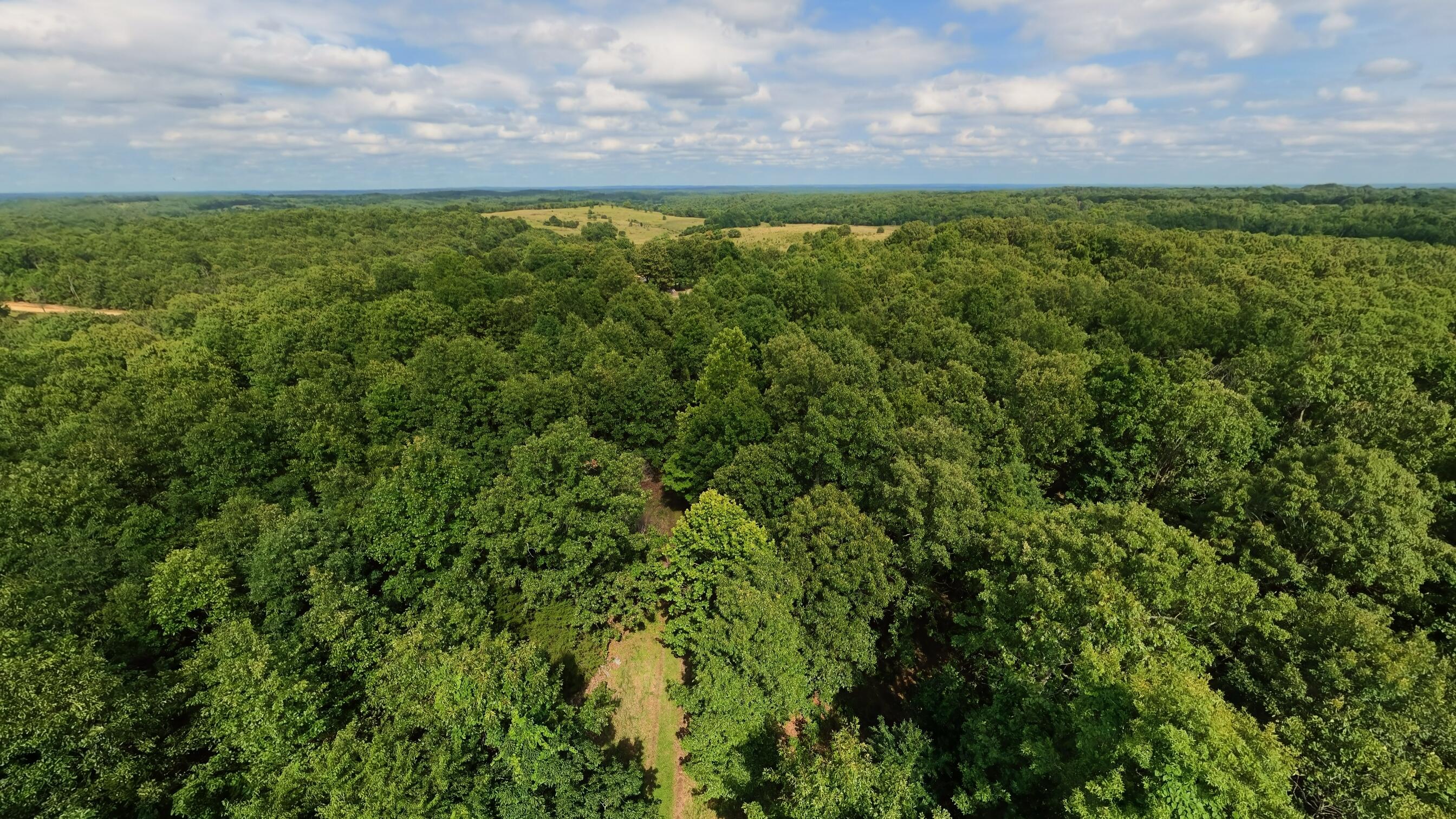 394 Summit Hill Trail Property Photo 54