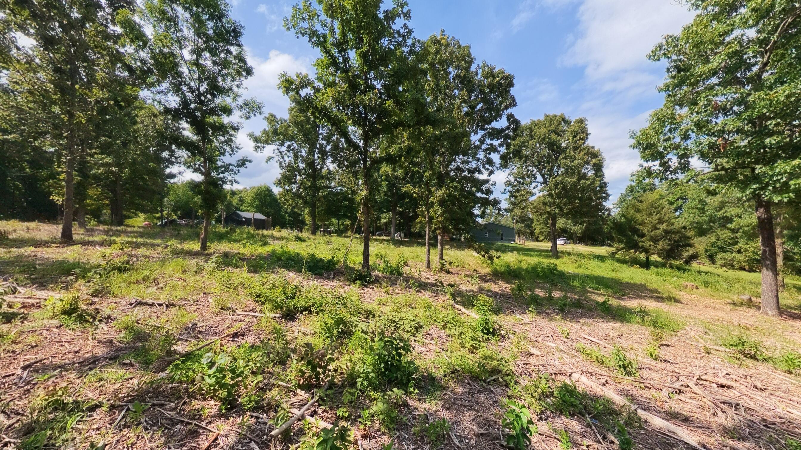 394 Summit Hill Trail Property Photo 57