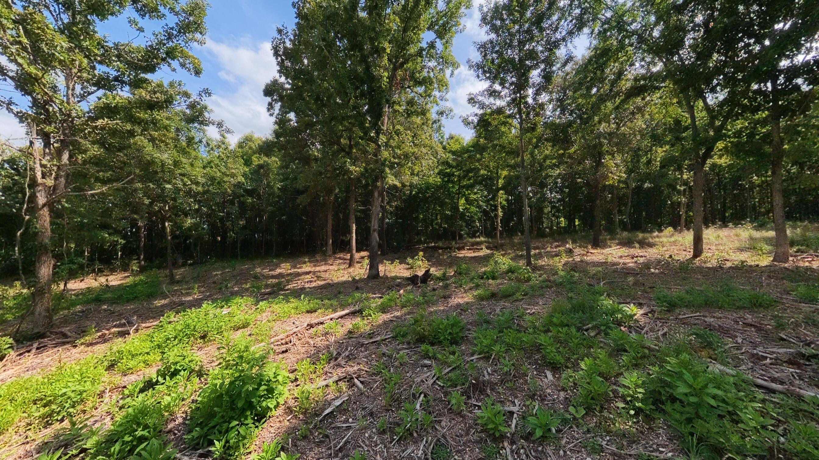 394 Summit Hill Trail Property Photo 58