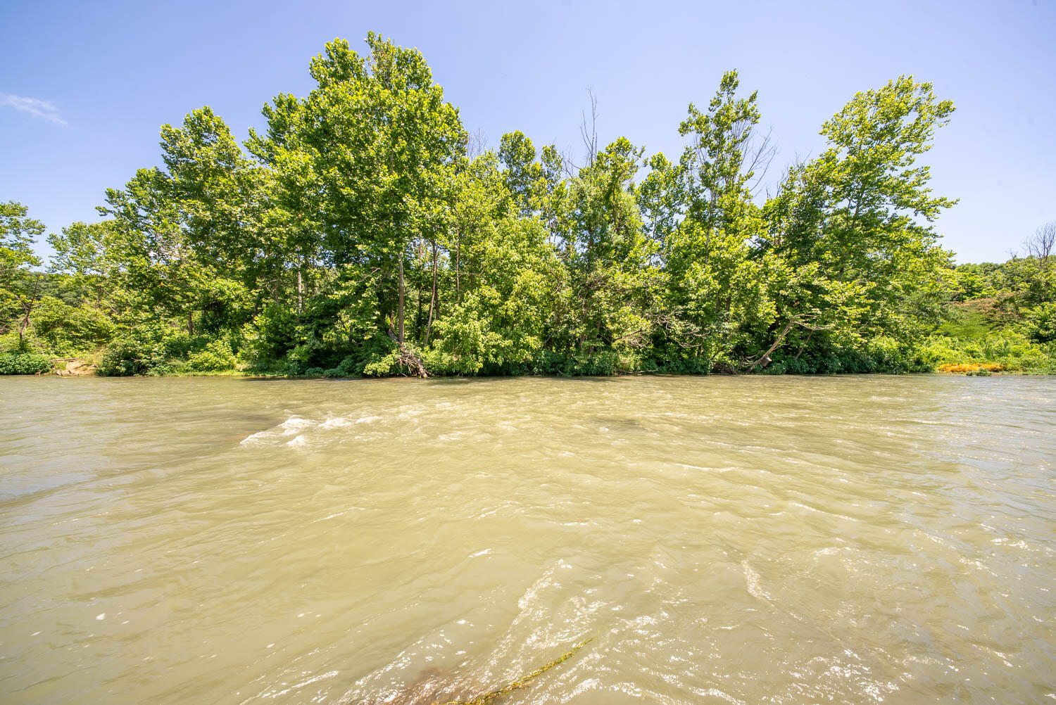 347 Big Trout Trail Property Photo 47
